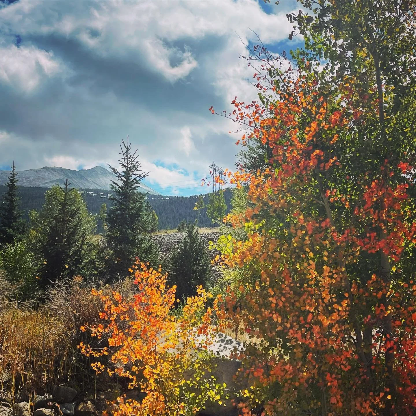 #happyfall 🍂