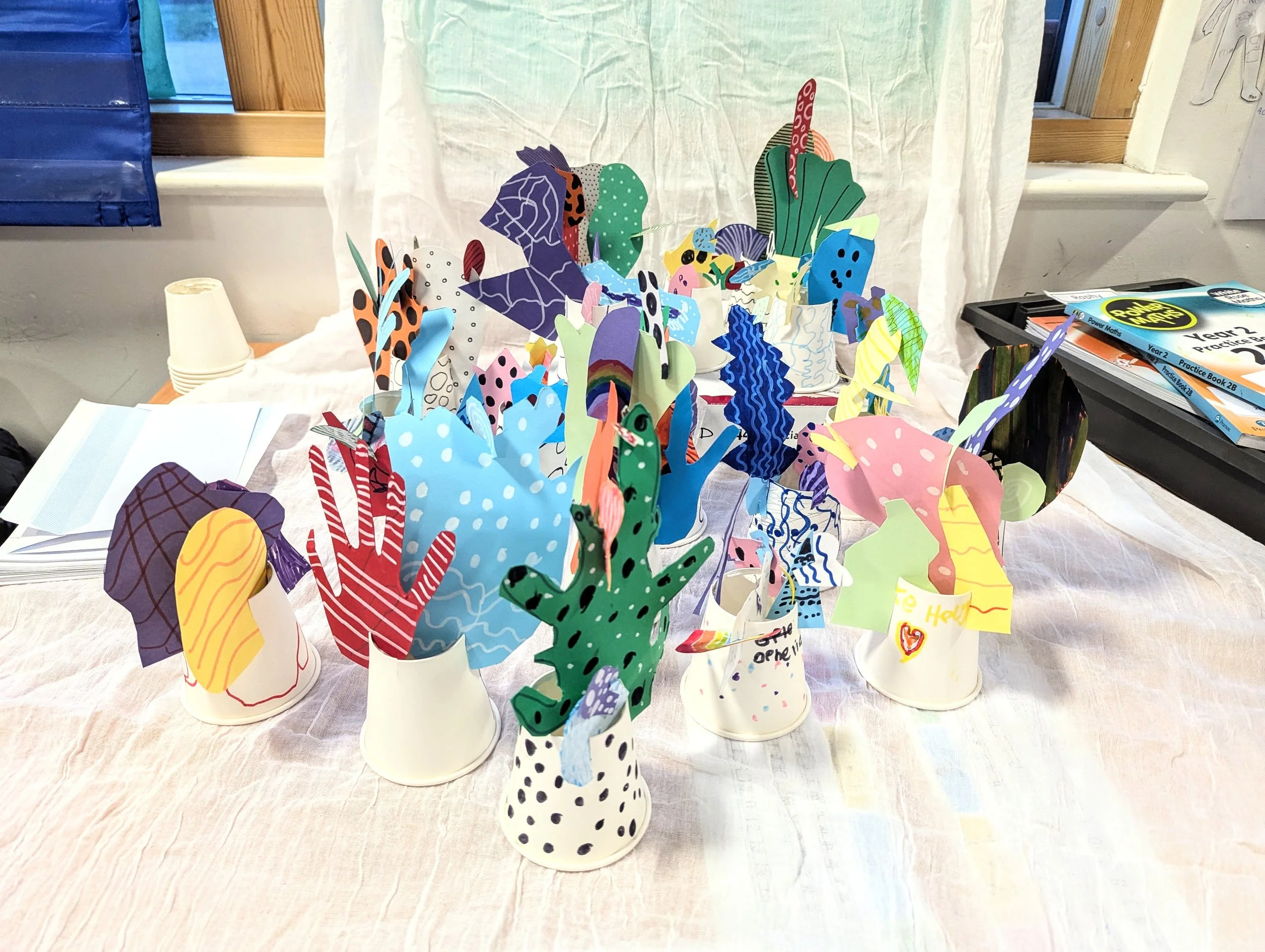 PXL_20250129_162500670.jpg