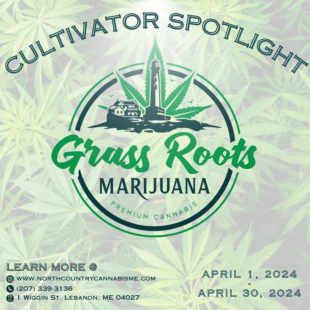 💡🌱Cultivator Spotlight🌱💡
&mdash;&mdash;&mdash;
@grassrootsmarijuana is NCC&rsquo;s cultivator of the month for April! Check out our website, WeedMaps, or give us a call to learn more🔥🤝🏻 
.
.
.
Adults twenty-one years of age and older only. Lic