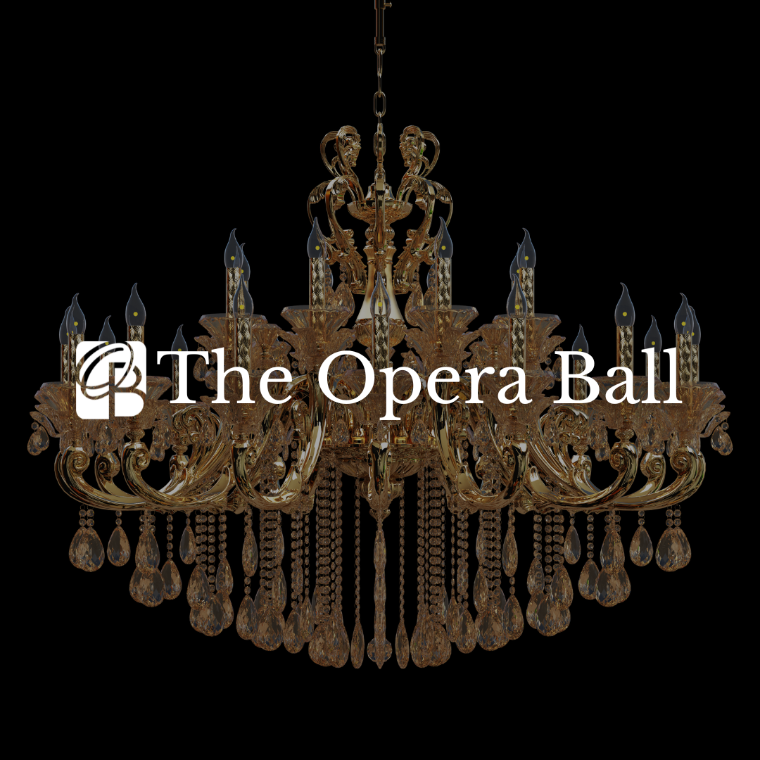 Opera Ball 2026