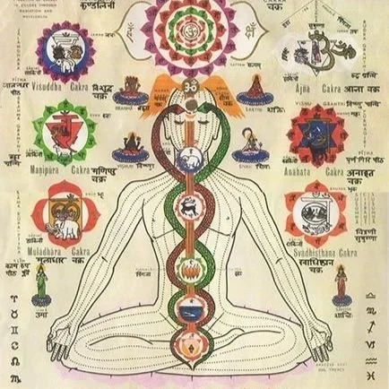 All Beings Meditation