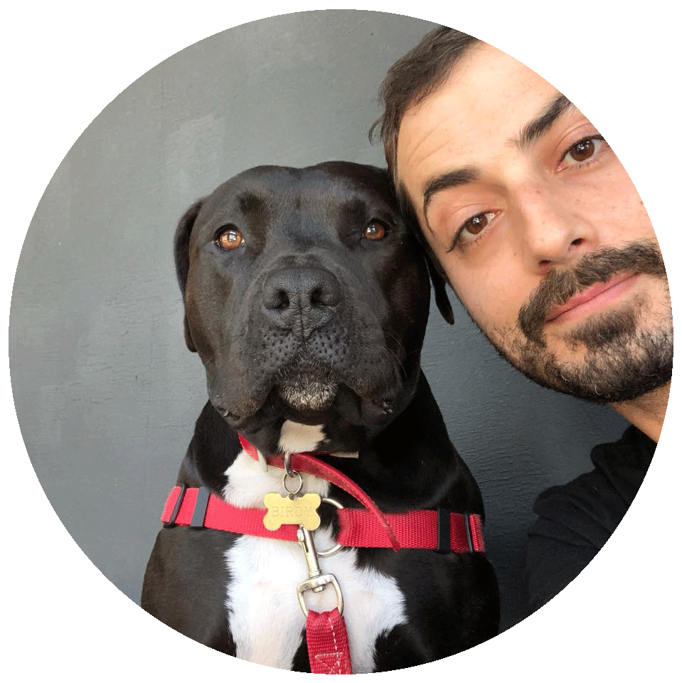 Profile photo of Omid Rashidi with his dog