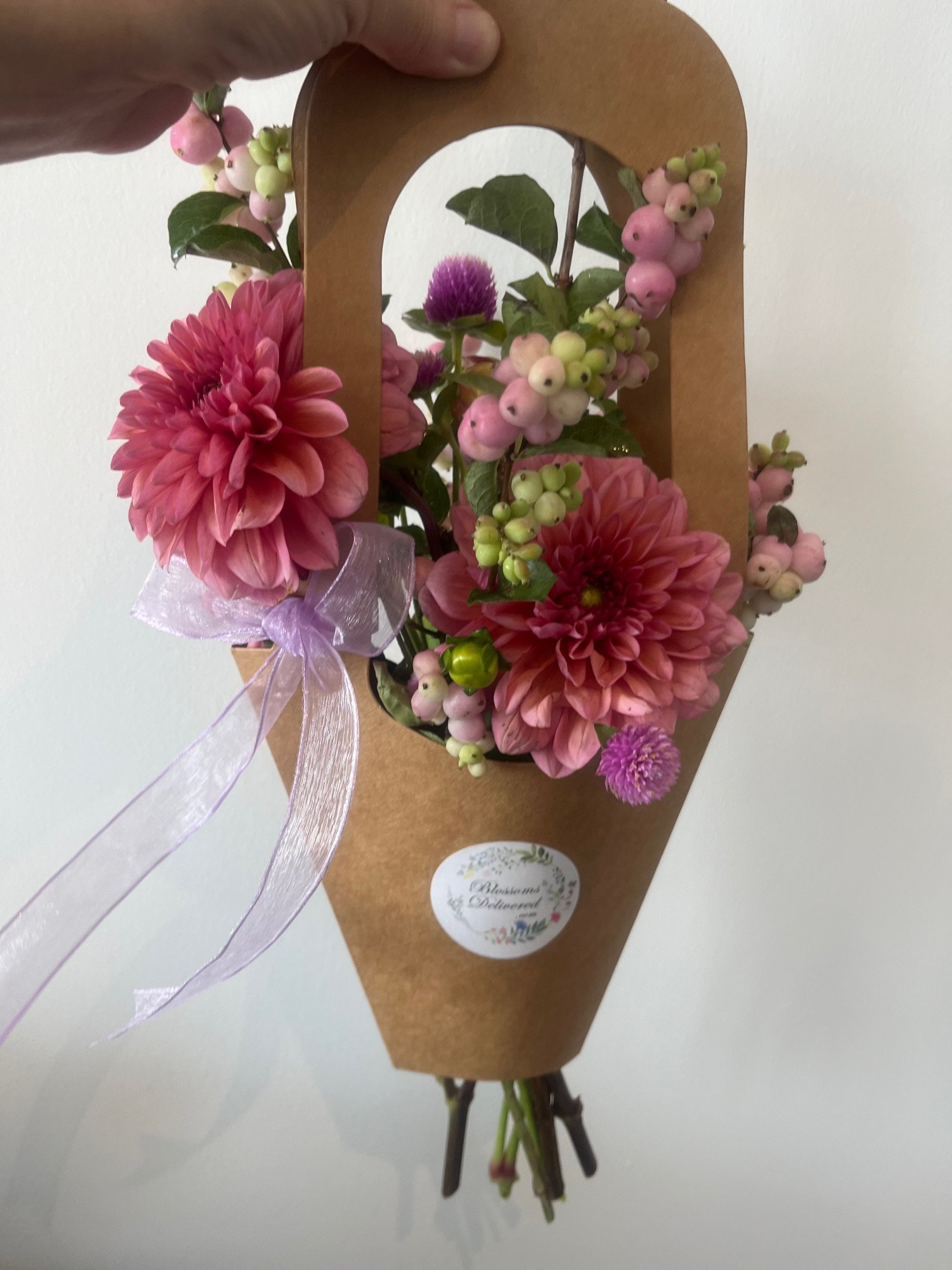 IMG_8710.jpg