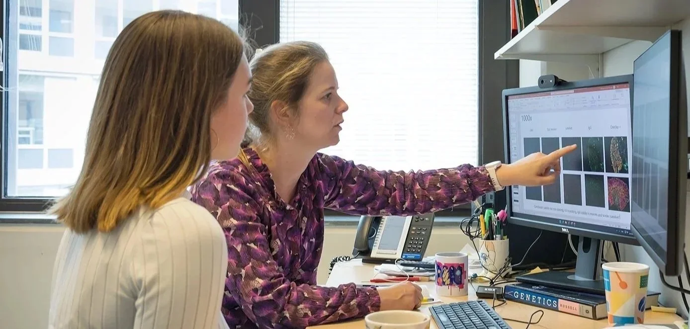 Onderzoek Hanneke Willemen
