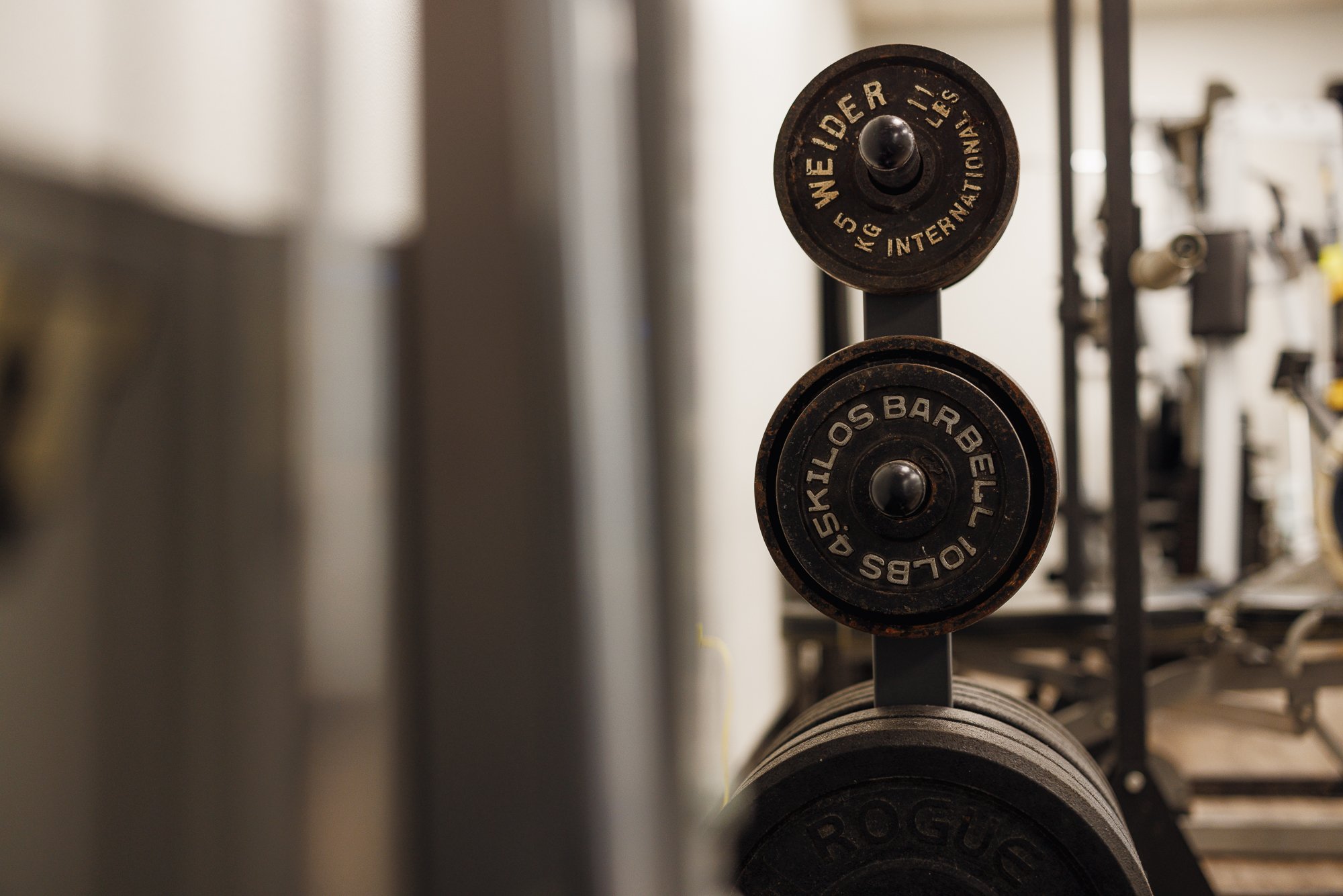 Gym weights stacked on a rack, including Weider and Rogue brands, with fitness equipment in the background.