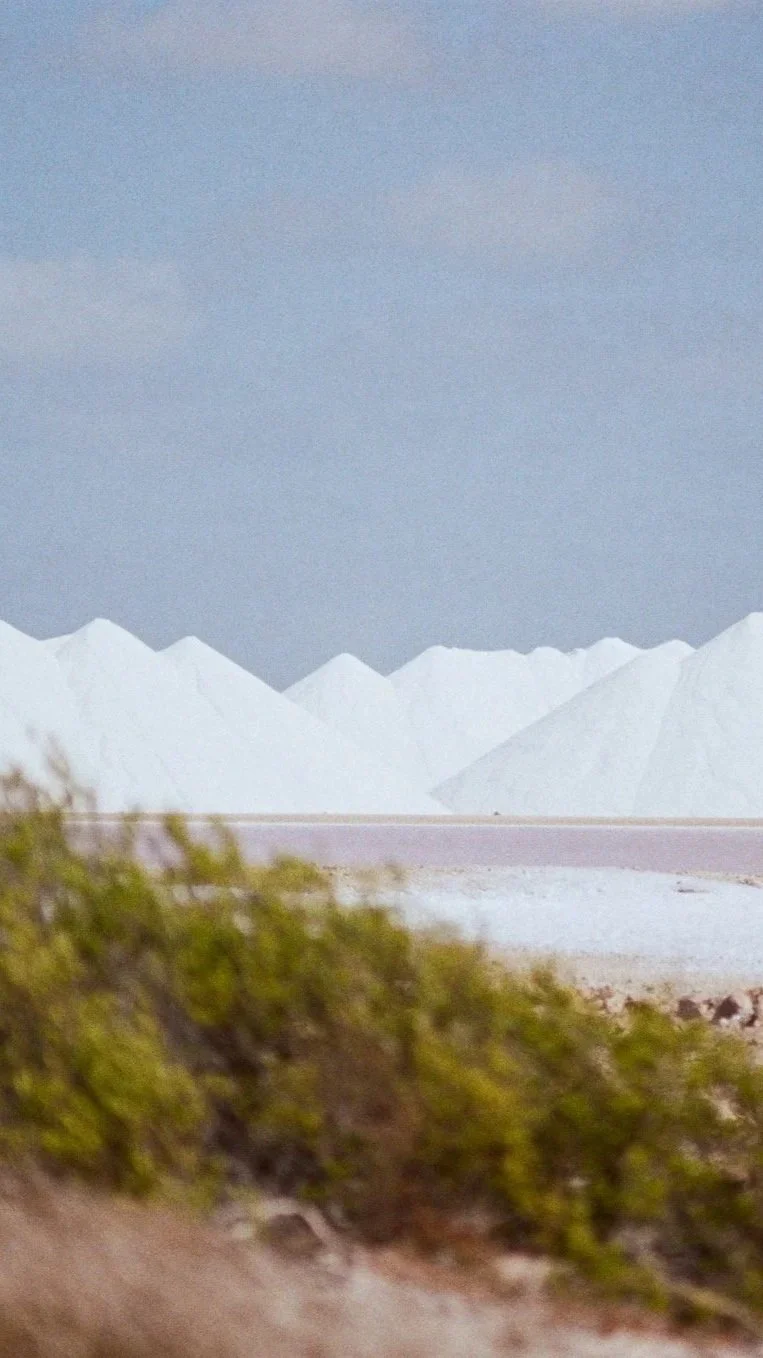 Bonaire, 2026. 