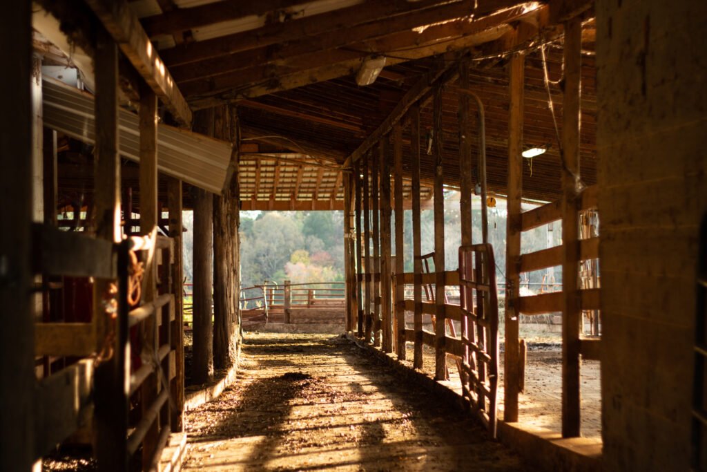 Sloop Dairy Farms pictured on November 8, 2020. Sloop Dairy Farms have been operated by the Sloop family for five generations. "Living on a farm instills certain values into those who work on it."