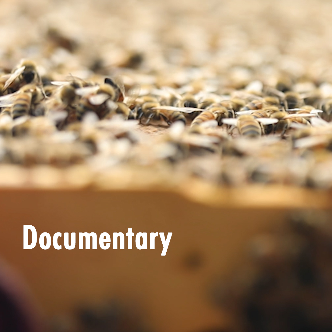 Documentary