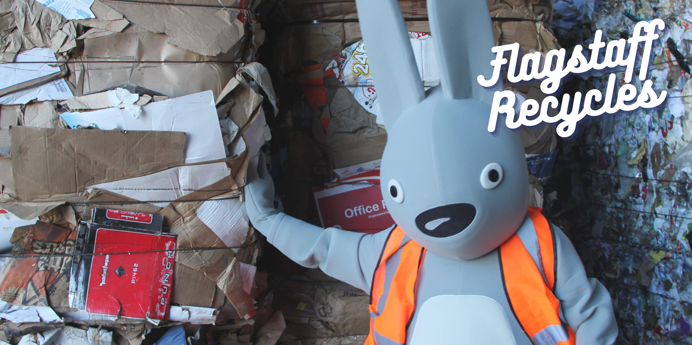 Albert the Abert Squirrel mascot posing in front bales of cardboard.
