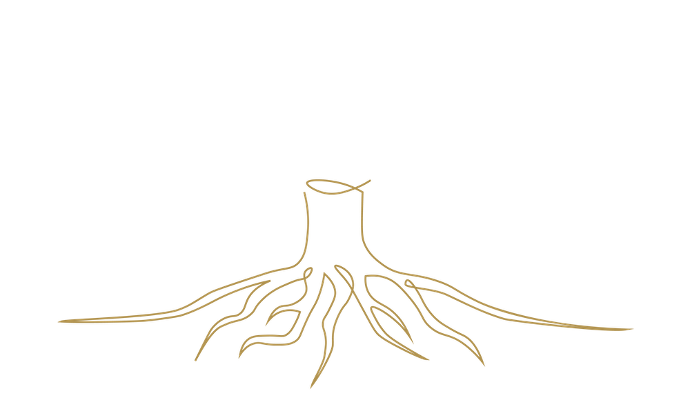 line drawing of a tree stump with tree roots