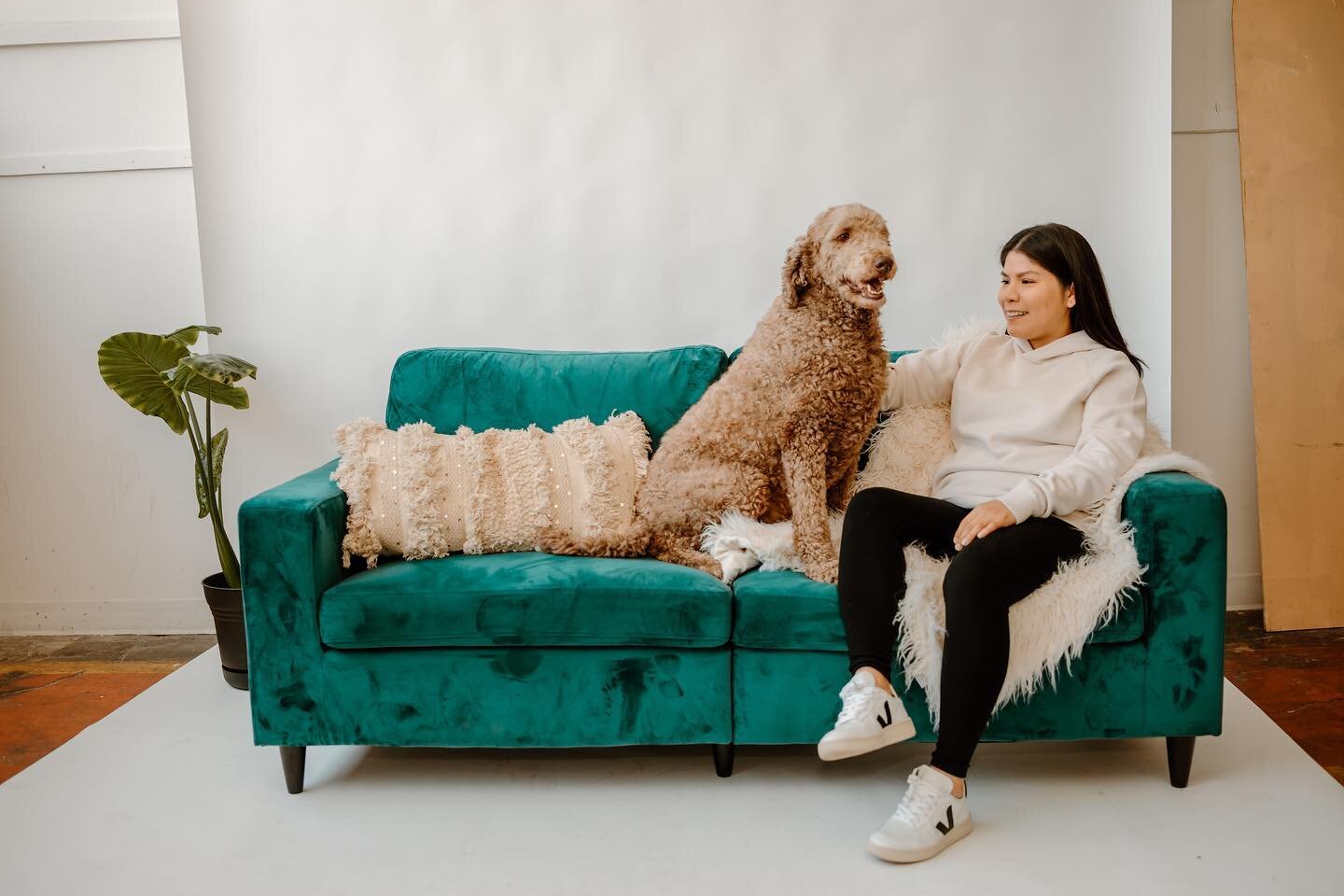 Therapy from the comfort of your home (and with your fur baby by your side) 🛋 
.
💻 You may choose virtual therapy if:
✦ You work long hours.
✦ You are traveling and want to continue your therapy services while you are out of town.
✦ You are a stay-