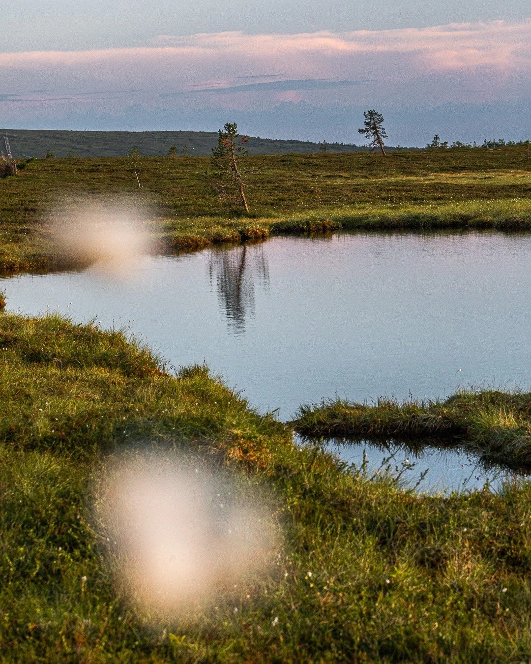 🇸🇪 🥾 Dagens fj&auml;lltips 🇬🇧 🥾 Explore the Mountains

Letar du efter en vandring som passar de flesta?

Ta turen mot &Ouml;stfj&auml;llet och bes&ouml;k samtidigt S&auml;lens Botaniska Tr&auml;dg&aring;rd. H&auml;r m&ouml;ts du av vackra fj&au
