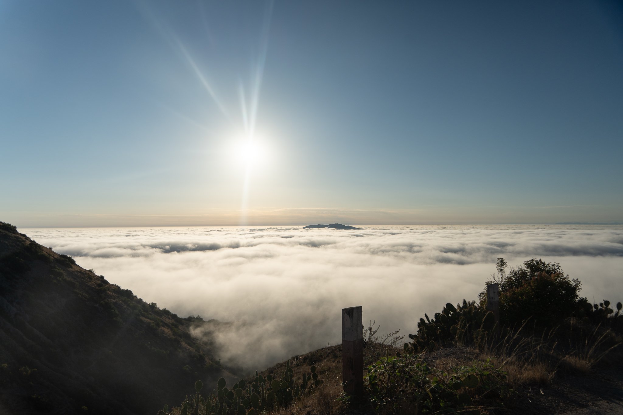 Blackjack Landscape-1.jpg