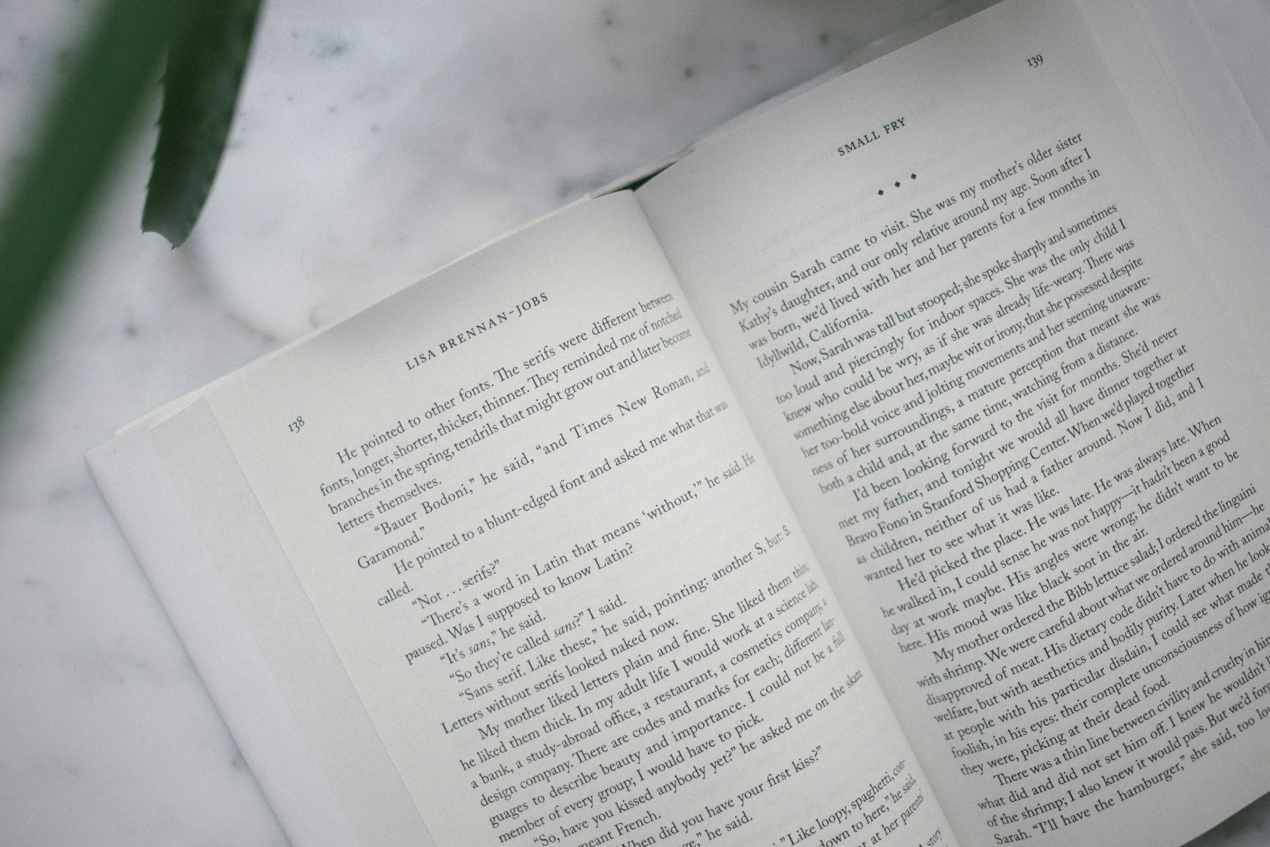 How to Write a Compelling Book Synopsis