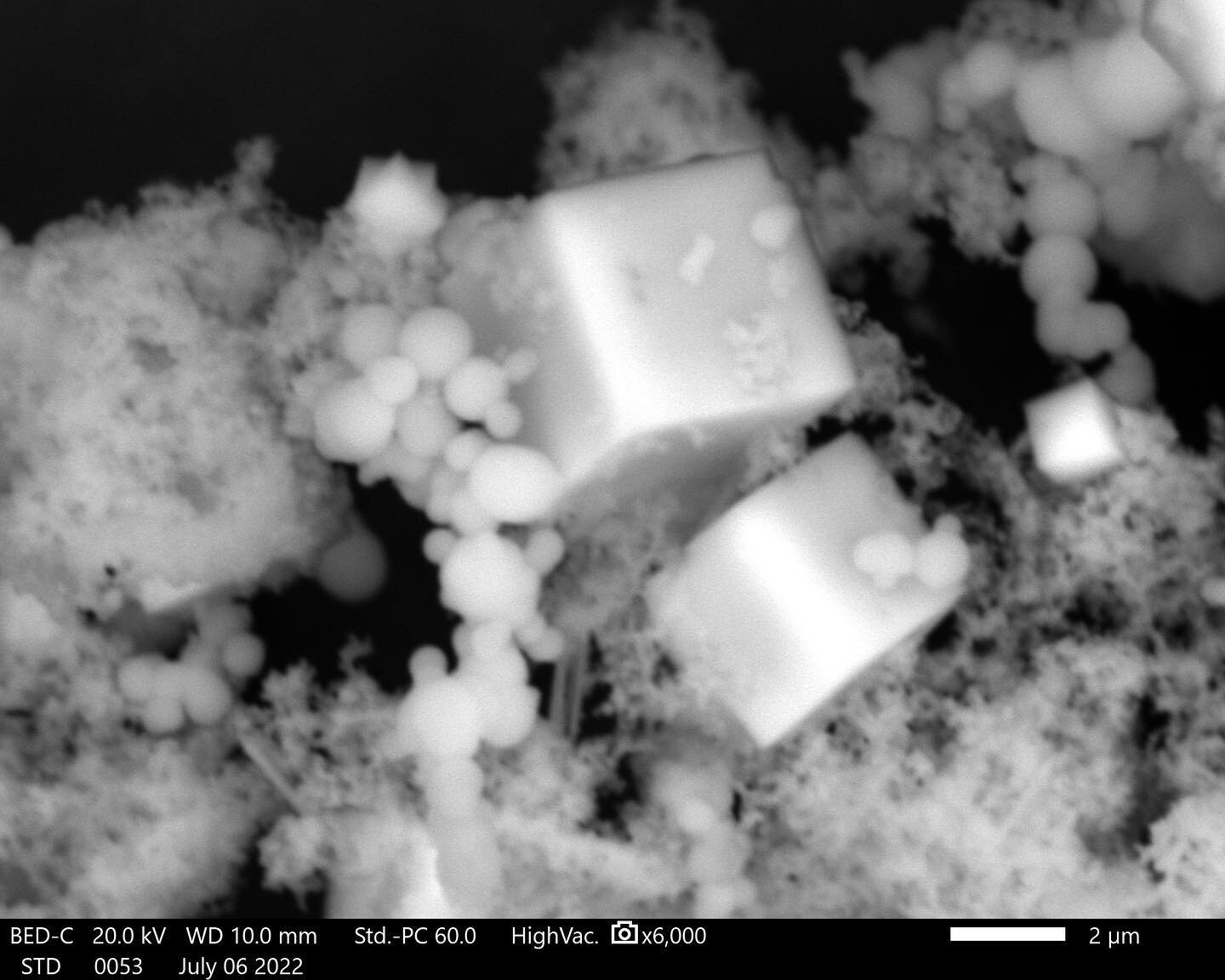 Today at the lab we were able to see zeolites under a Scanning Electron Microscope (SEM). Zeolites are a type of mineral that has the capacity to &ldquo;encapsulate&rdquo; lead.  We are testing this material for lead remediation in contaminated soil 