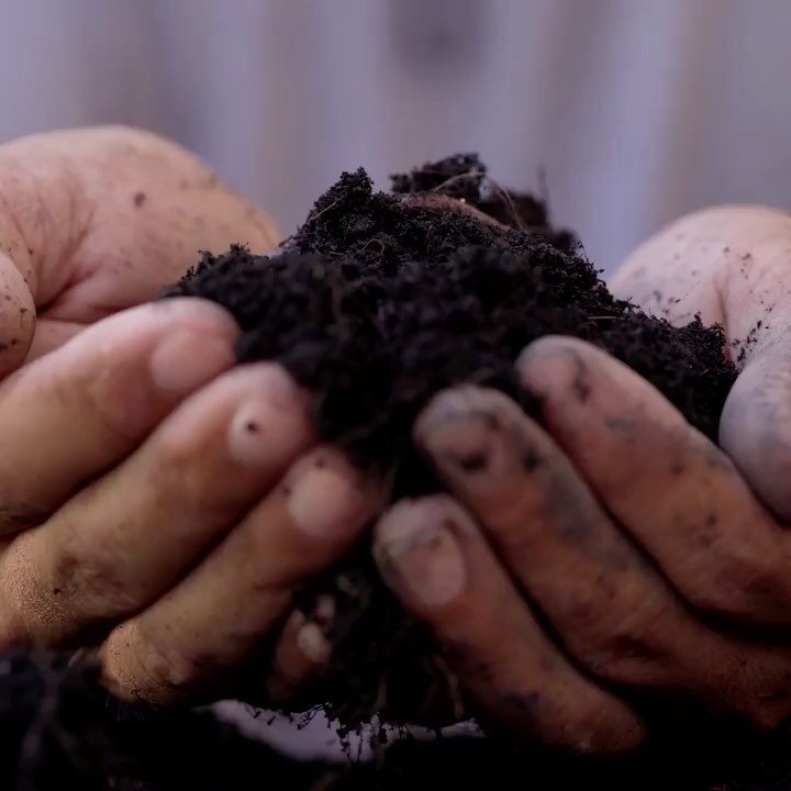 Repost @18thstreetarts 

Pile 2 patio is a piece by artist Maru Garc&iacute;a (@marugfe) that explores the materiality and community-building qualities of a mulch pile. Part of Radical Propagations (@radicalpropagations), this interactive and evolvin