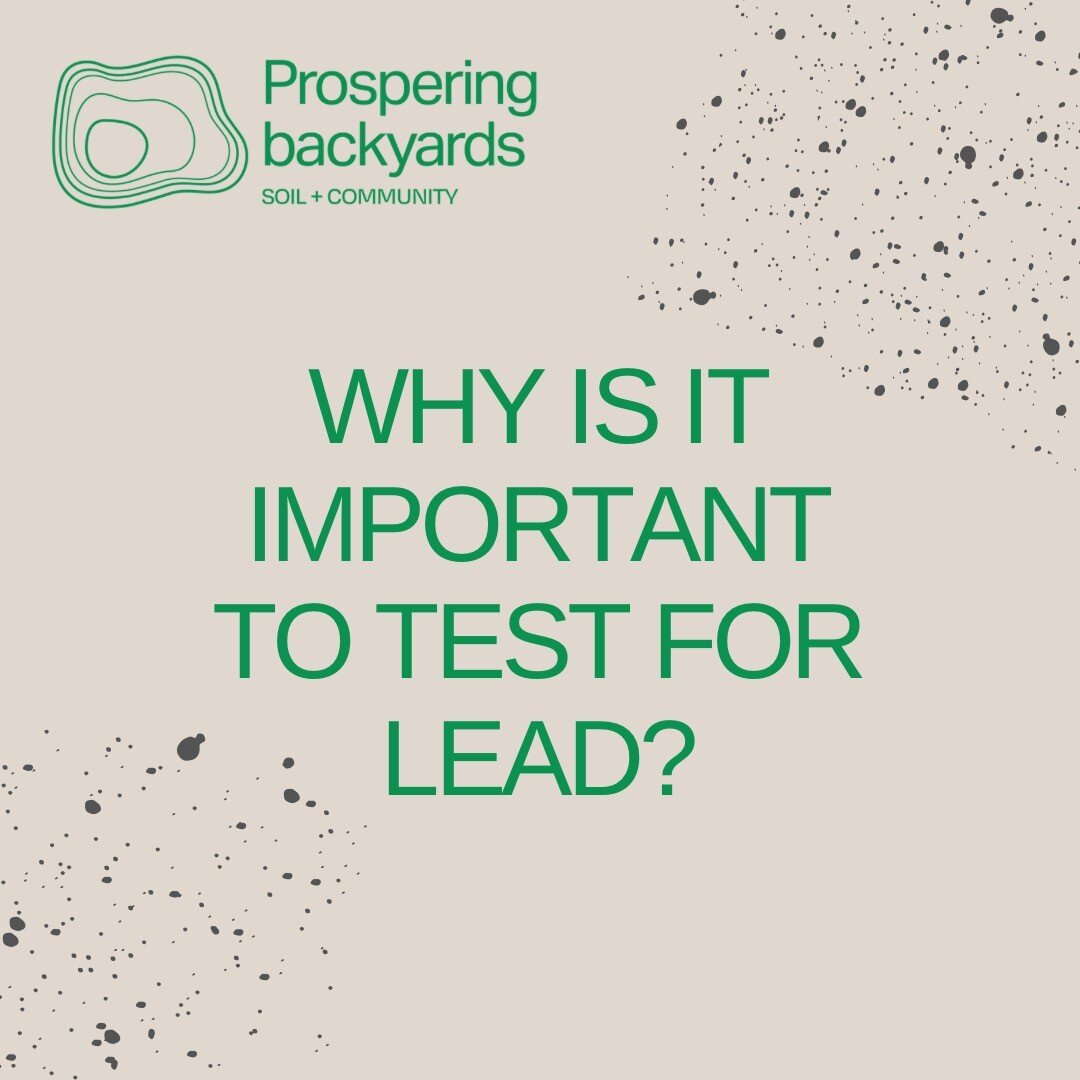 Why is lead toxic? 

Lead is a non-degradable heavy metal and is not a pollutant in its natural form. 

Human extraction and use (ex. paints for 50 years, bullets, fuel additive for 70 years, and in the lead-acid battery industry, etc.) changes the m