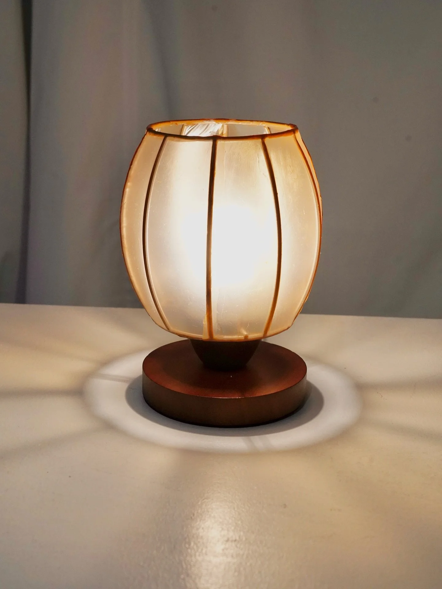 SCOBY 005 (Sold)
Membrane Tensions SCOBY lamp collection 

Bacterial cellulose, wood, metal, LED bulb

#membranetensions #scobylamp #bacterialcellulose #biomaterials #biodesign #kombucha