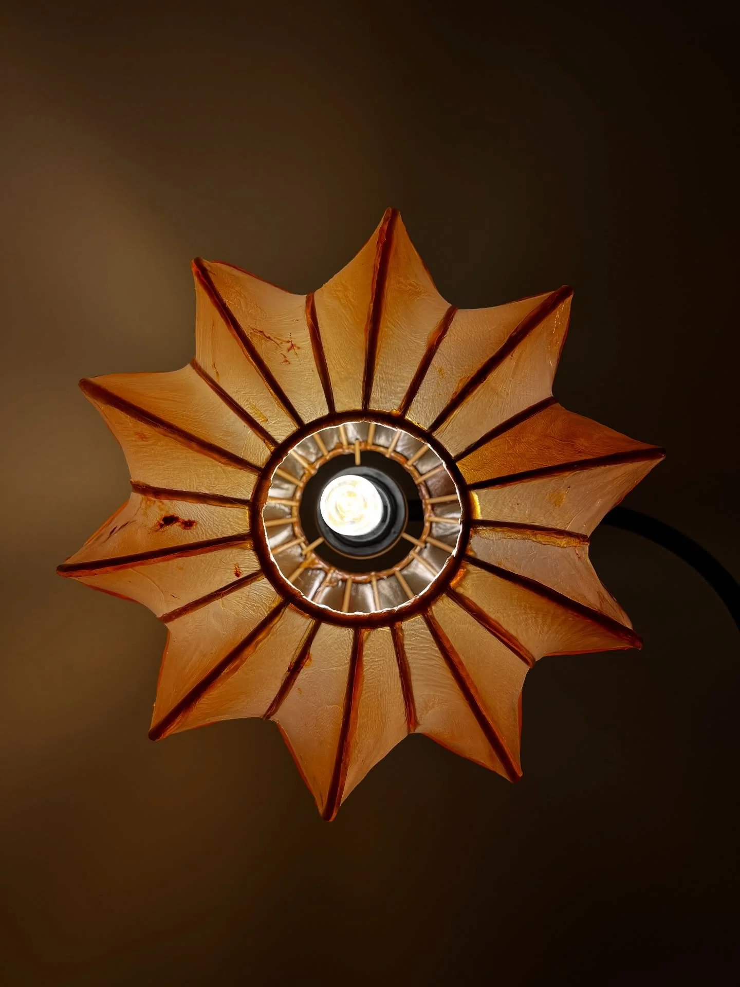 SCOBY 008
Membrane Tensions SCOBY lamp collection 

Bacterial cellulose, metal, LED bulb

#membranetensions #scobylamp #bacterialcellulose #biomaterials #biodesign #kombucha