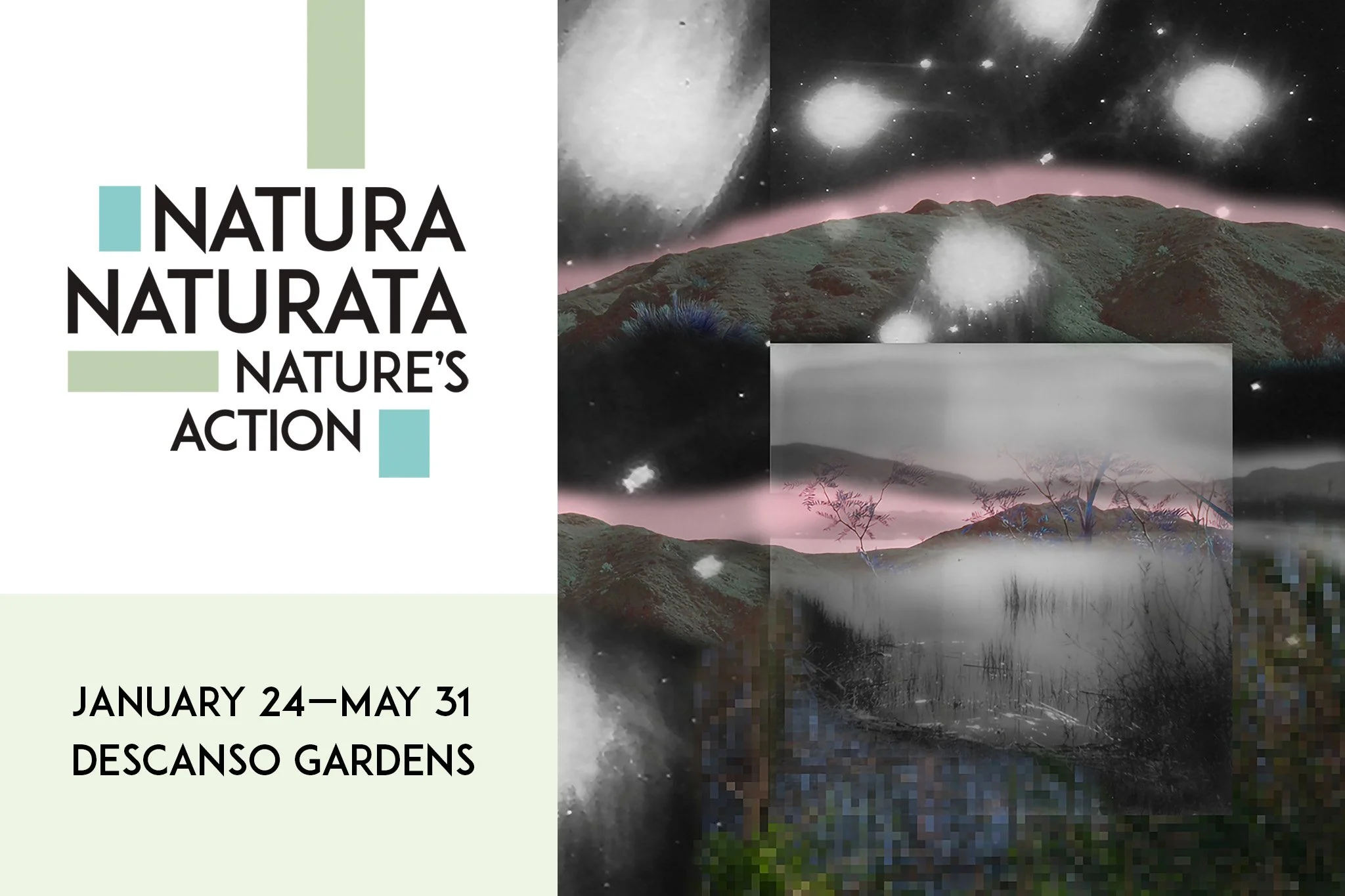 Natura Naturata: Nature’s Action