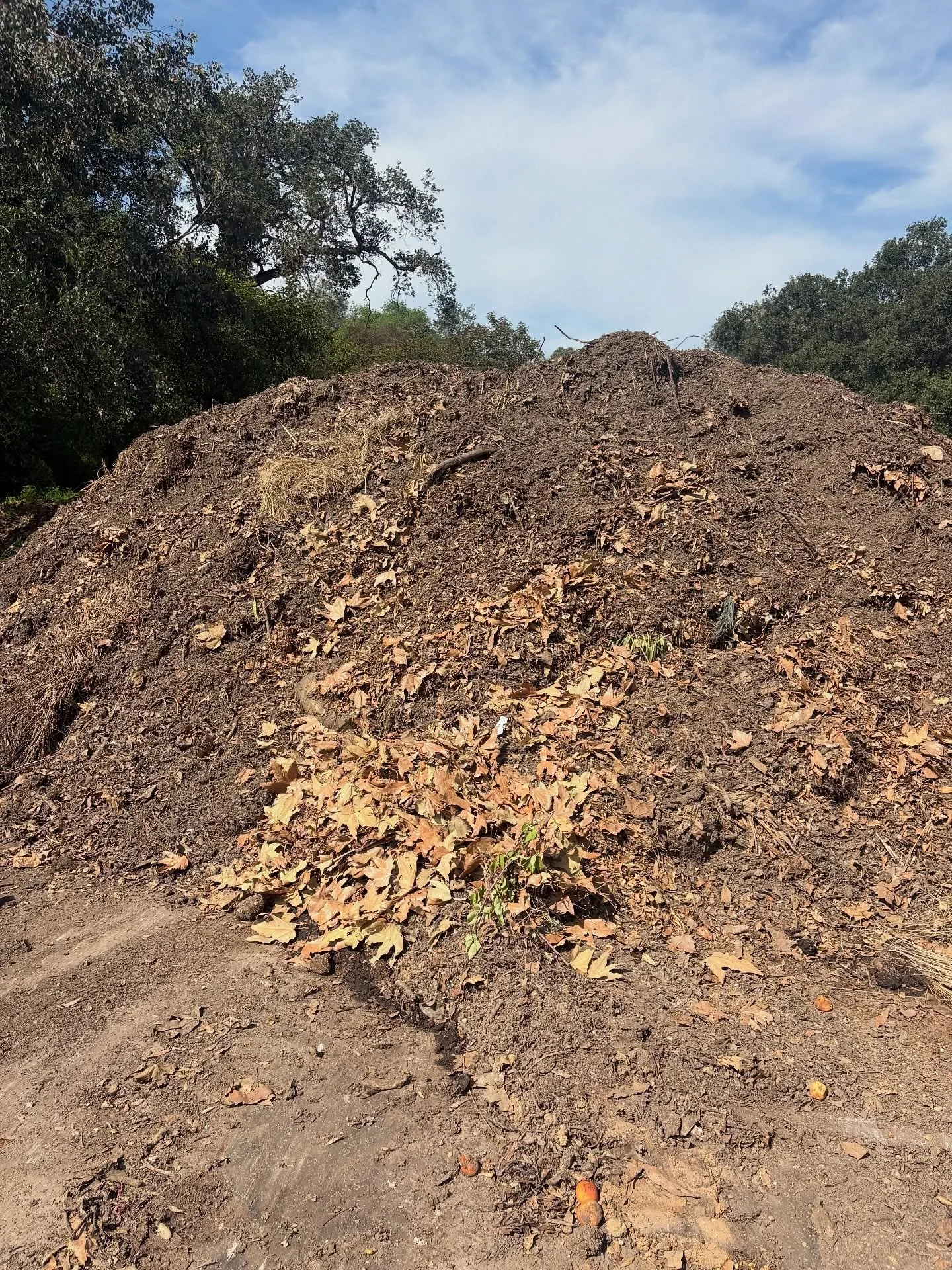 I&rsquo;ll be working with soil, mulch, and plant material from Descanso Gardens to create a new installation, Emerging Horizons, for the Natura Naturata exhibition. I&rsquo;ll give a soil health workshop this Saturday (currently full) but you can st