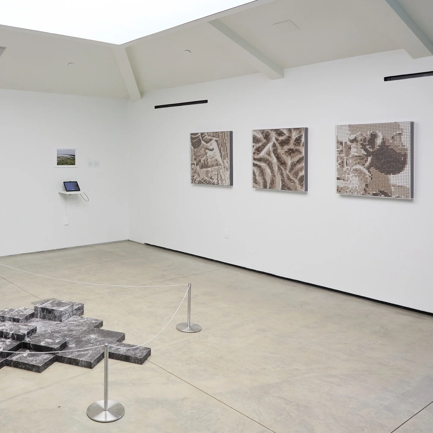 Boiling Rocks 1
Soil pellets mosaics, 30 x 30 in.

Boiling Rocks 1 is a series of mosaics crafted from 2500 soil pellets each, using lead-contaminated soil collected by community scientists in the @prosperingbackyards project. These works represent r