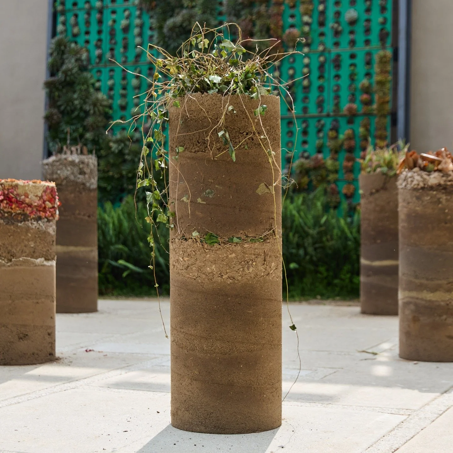 Emerging Horizons (2026)

Site-specific installation at Descanso Gardens
Dimensions variable
Carbon cylinders, soil, plant materials, and zeolites.

Emerging Horizons is a site-specific installation that investigates the landscape-forming properties 
