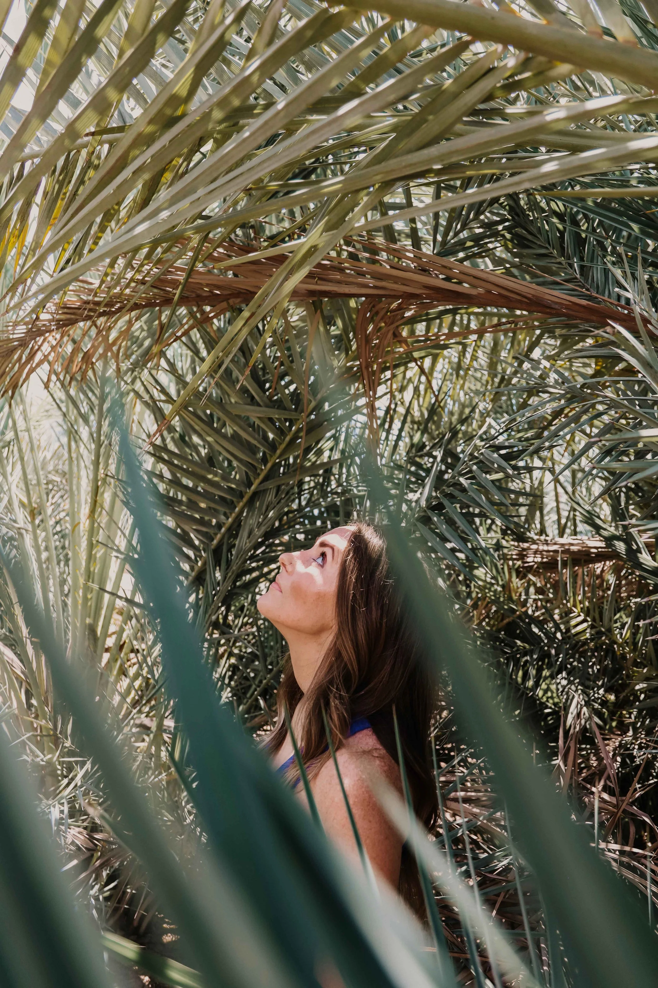MB_palmsmichelle.png