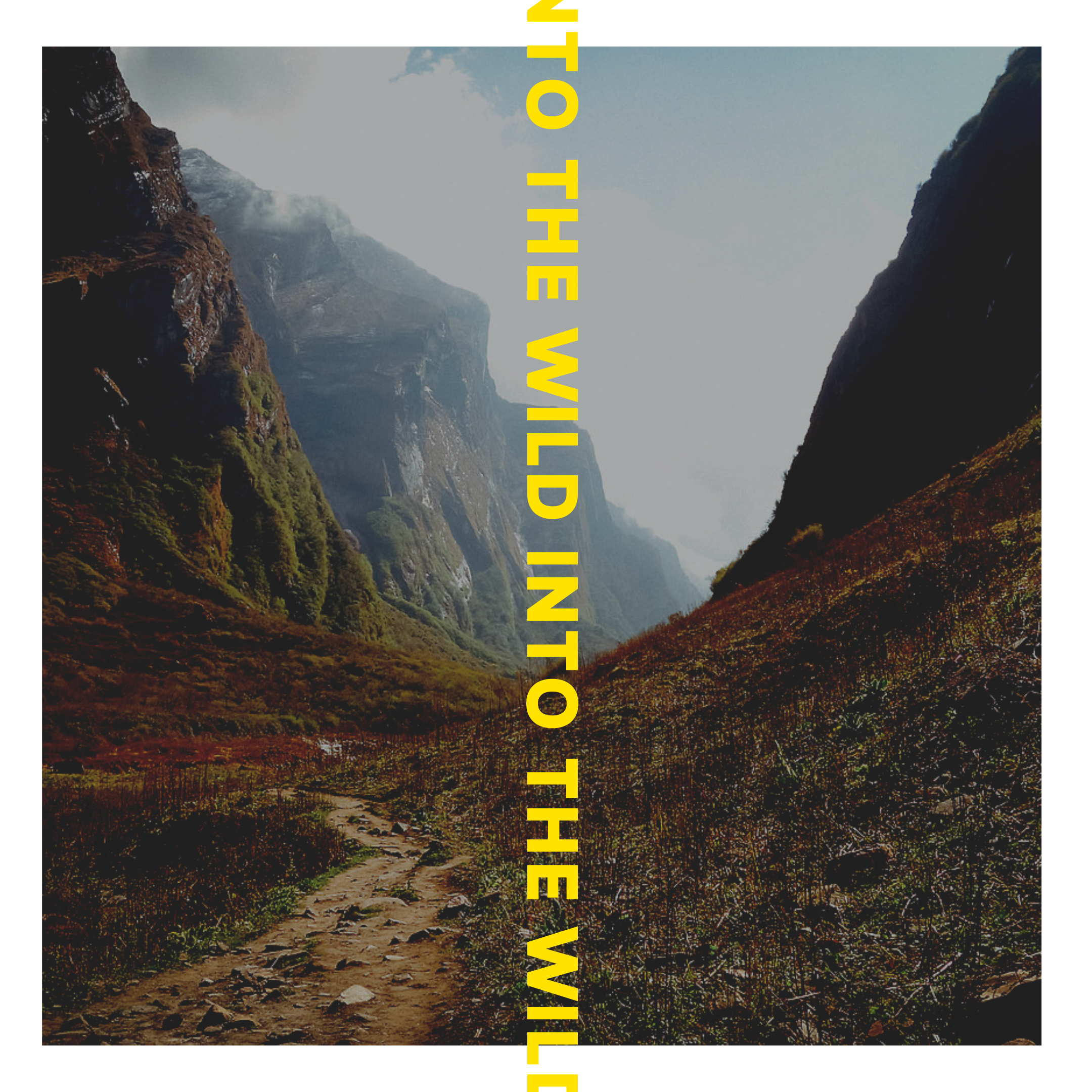 Into The Wild Into The Wild.PNG