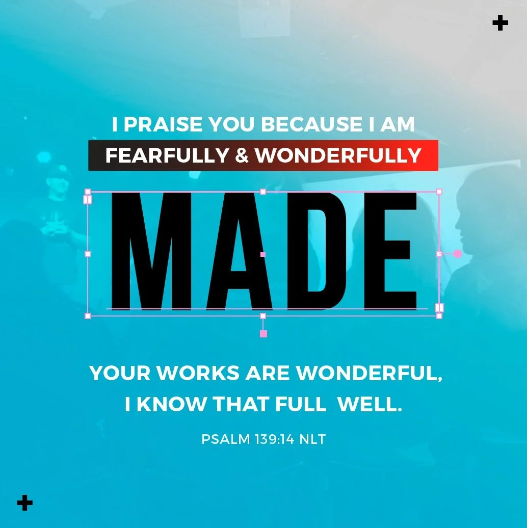 Screen Shot 2019-04-02 at 5.27.16 PM.png