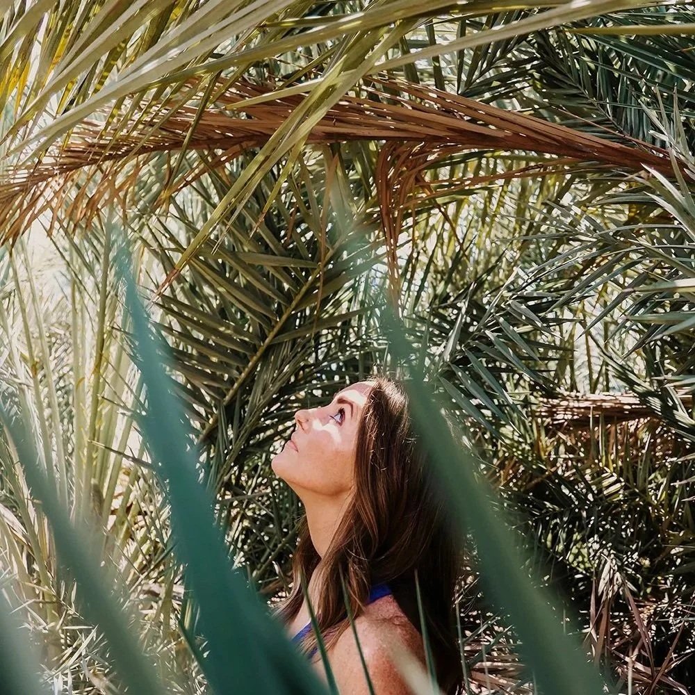 MB_palmsmichelle2.jpg