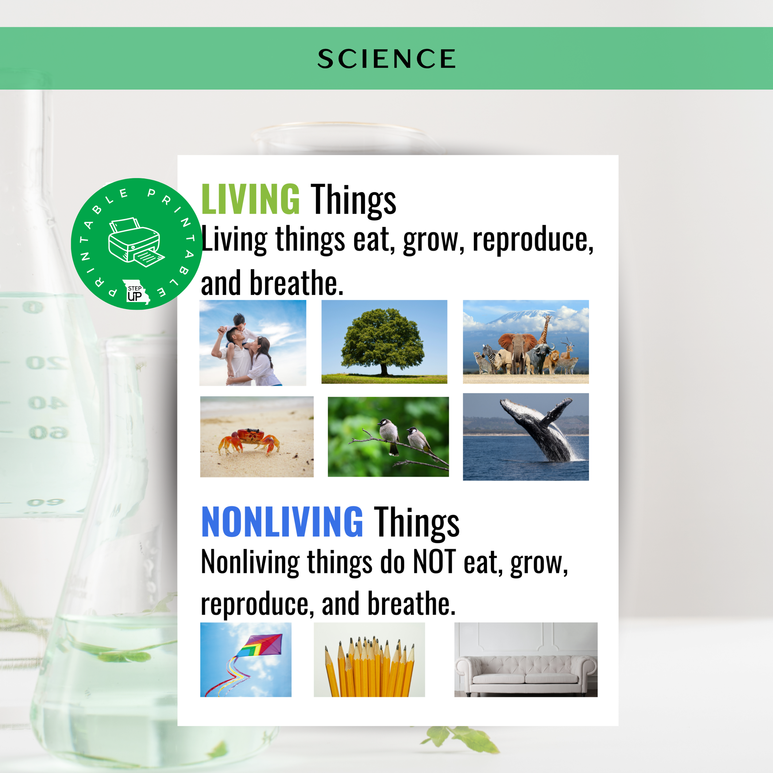 Living Things Graphic