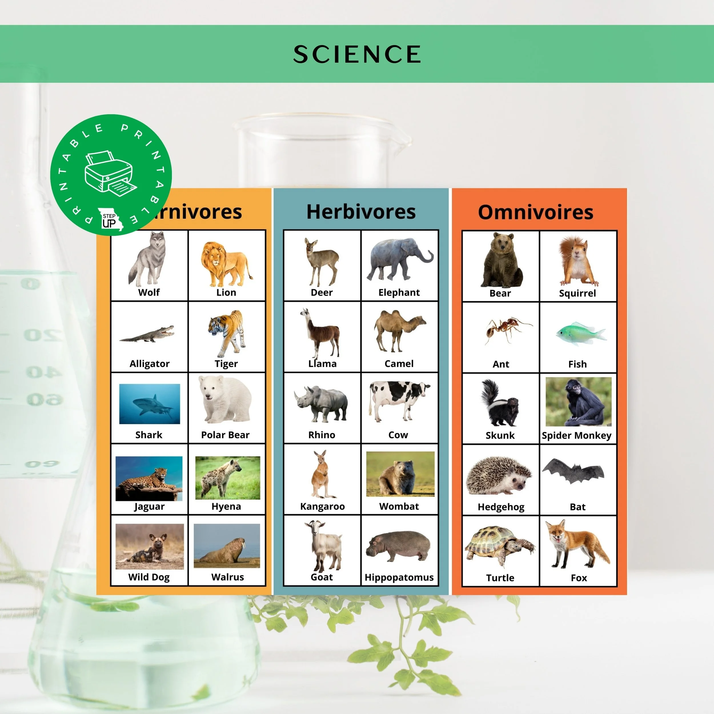 Animal Diets Chart Carnivore, Herbivore, Omnivore Guide — STEP Up