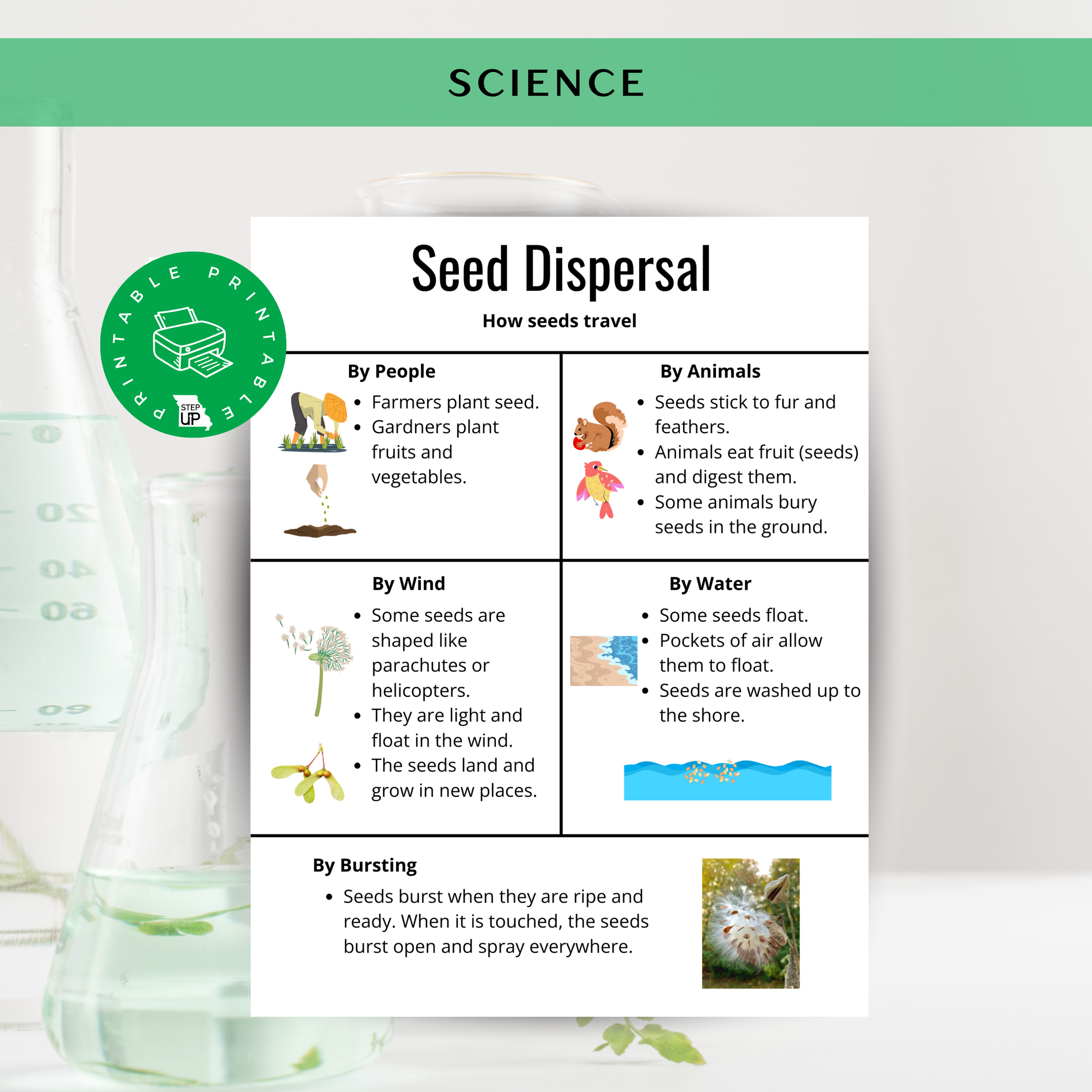 Seed Dispersal