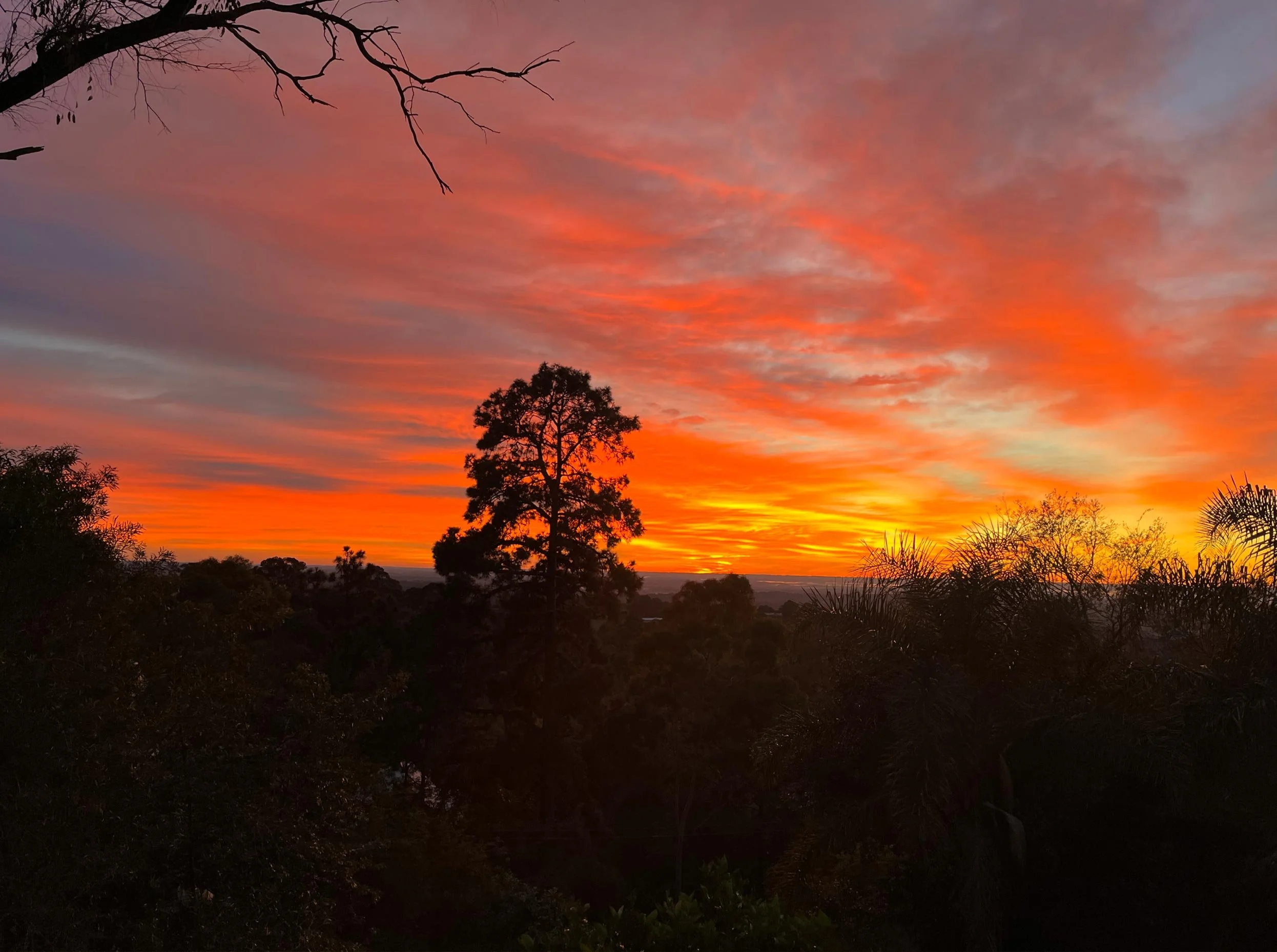 sunrise.jpg