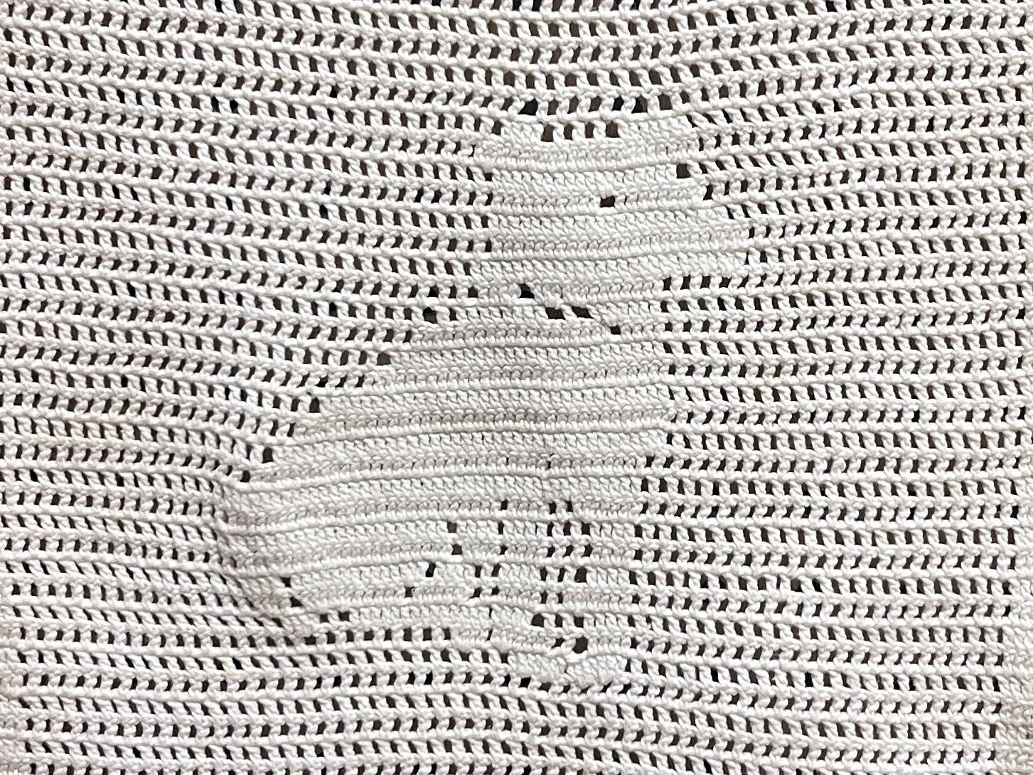 Vintage Filet Crochet Dog