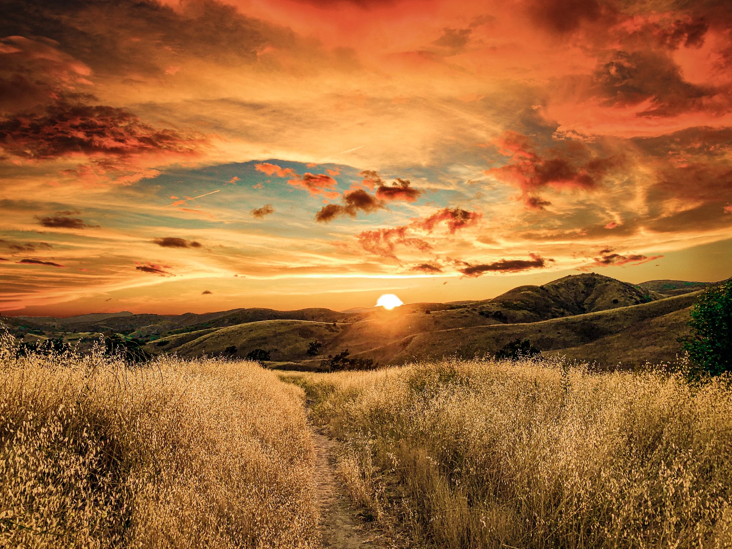 California Landscape
Edited: Photoshop & Lightroom