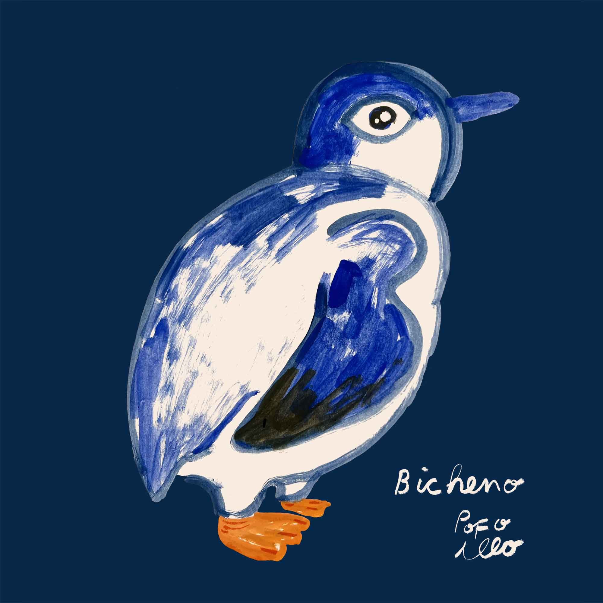 Penguin from Bicheno Tasmania