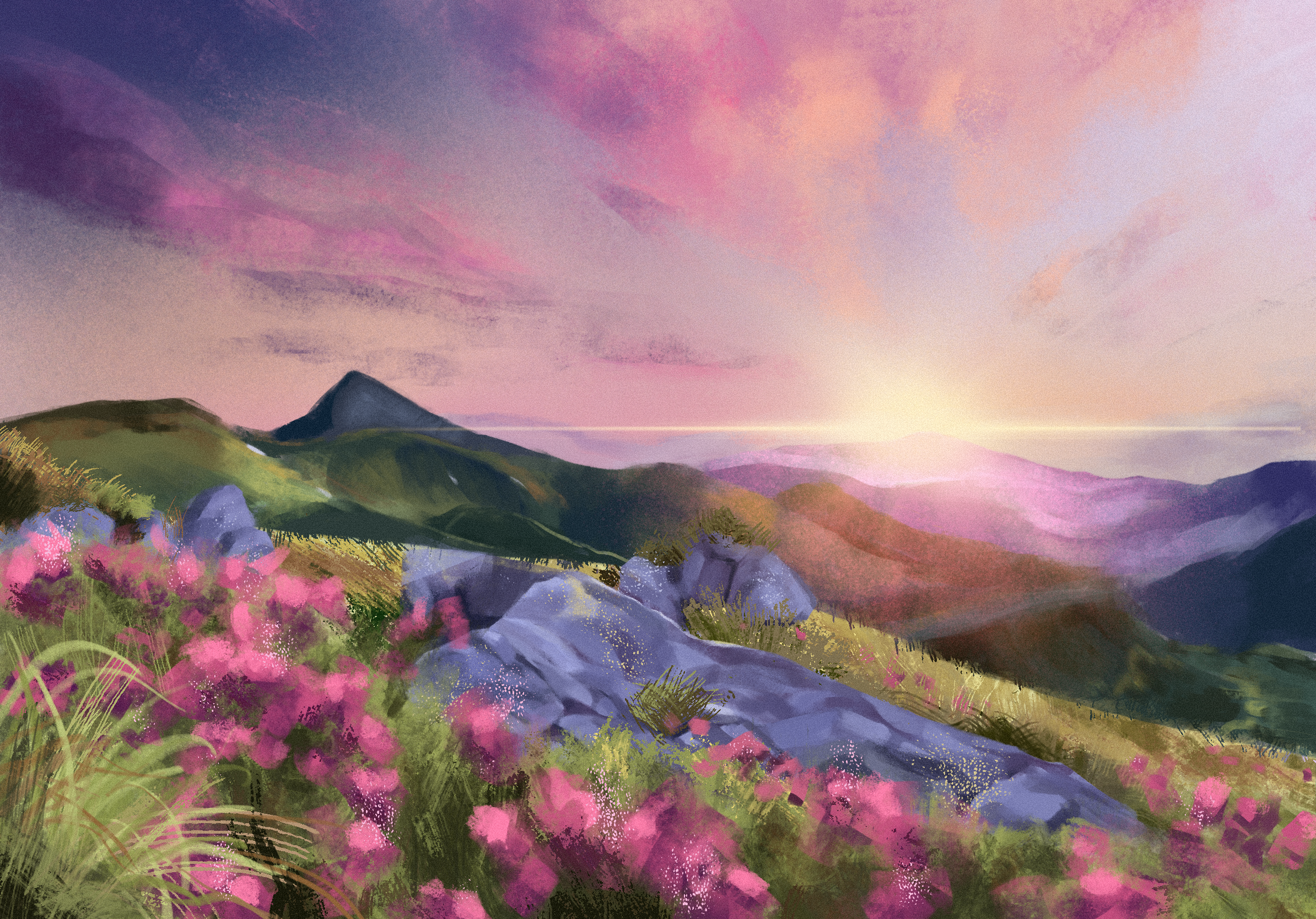 GallardoRice-Field.PNG