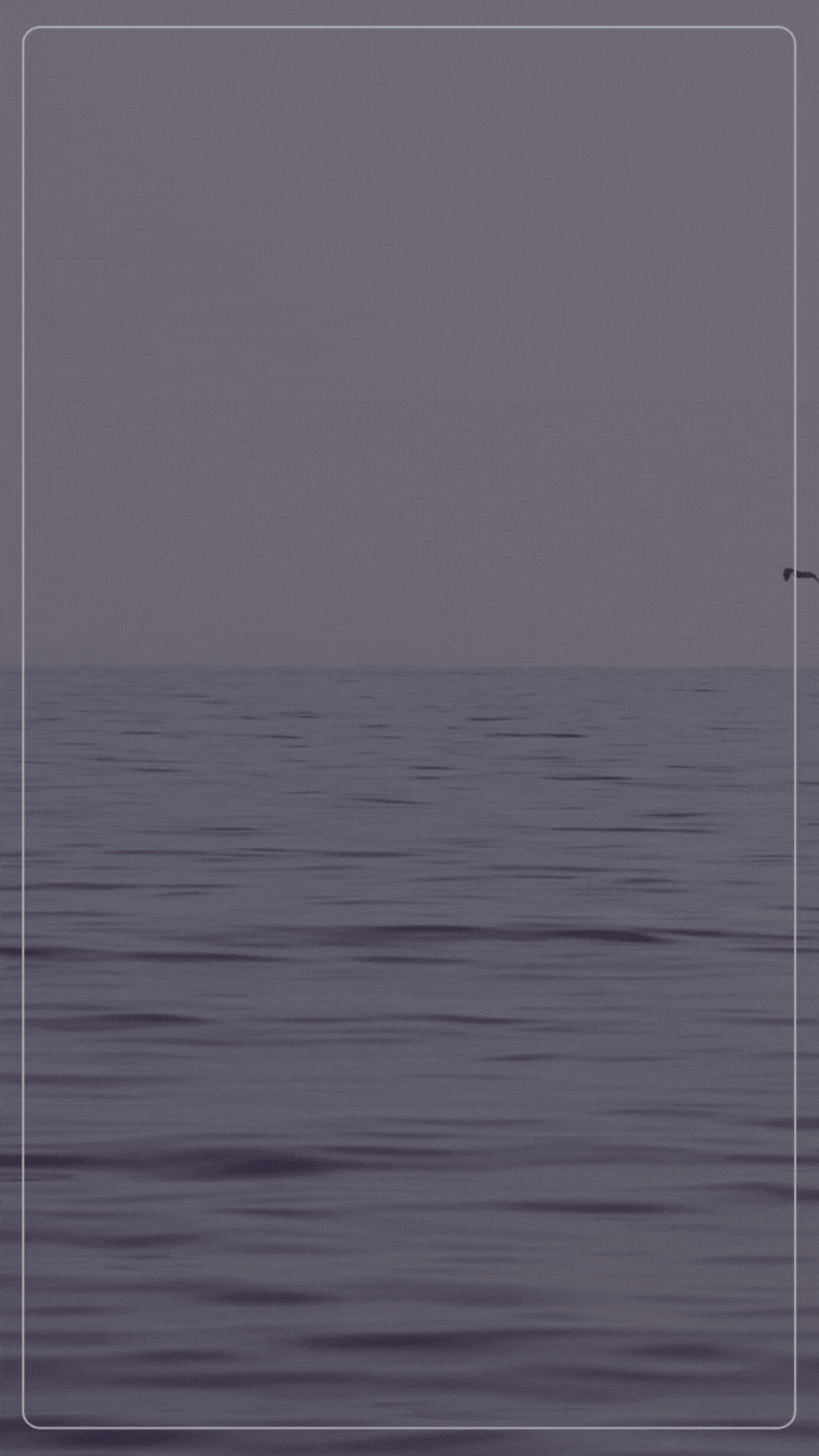 Blog Post Title Two