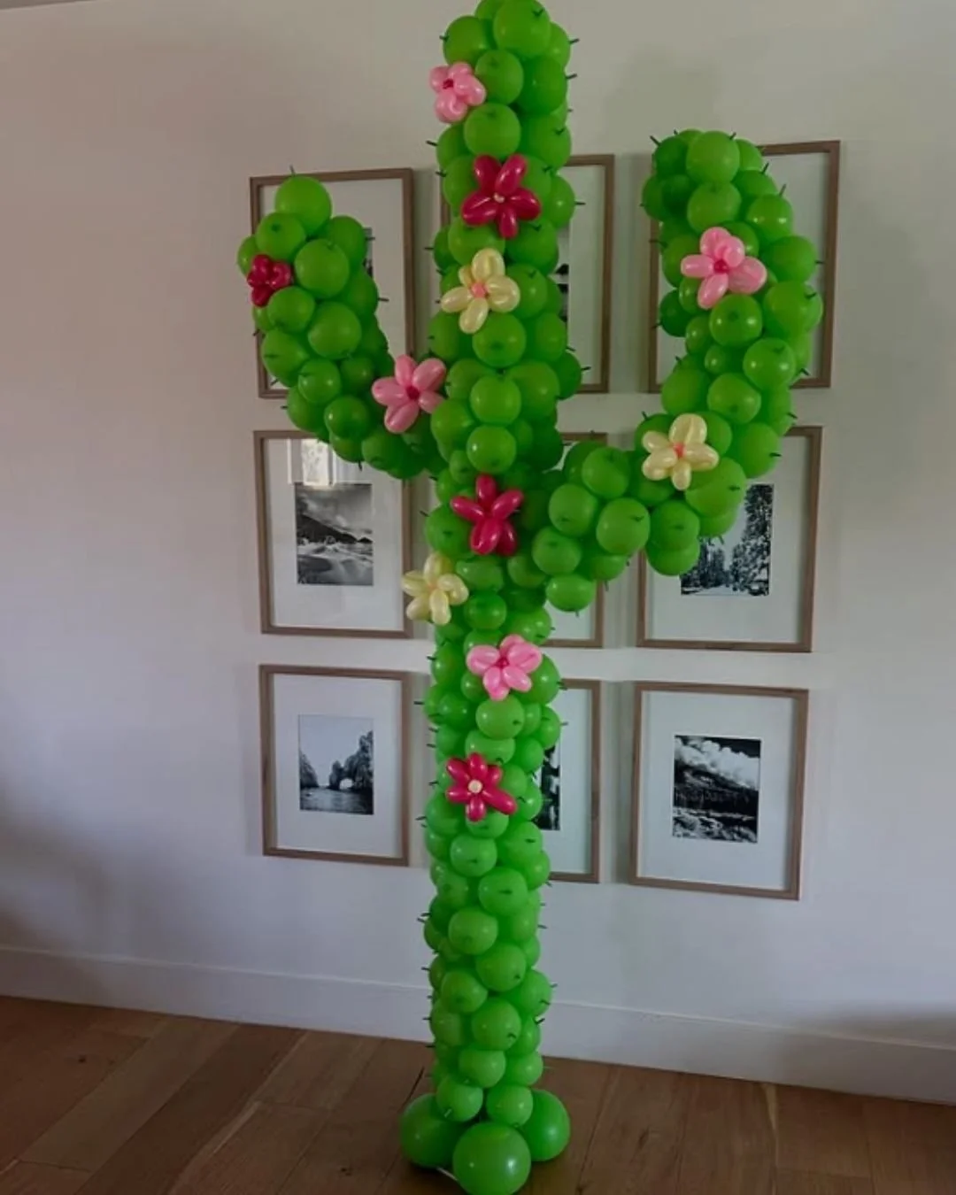 cactus balloon structure