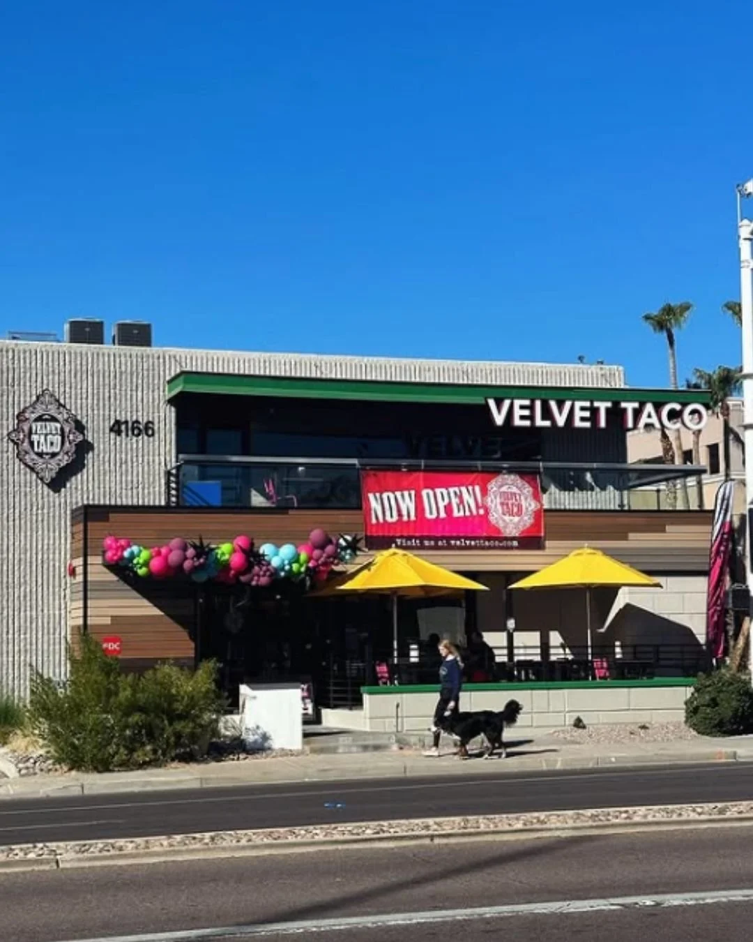 Grand Opening Balloon Garland