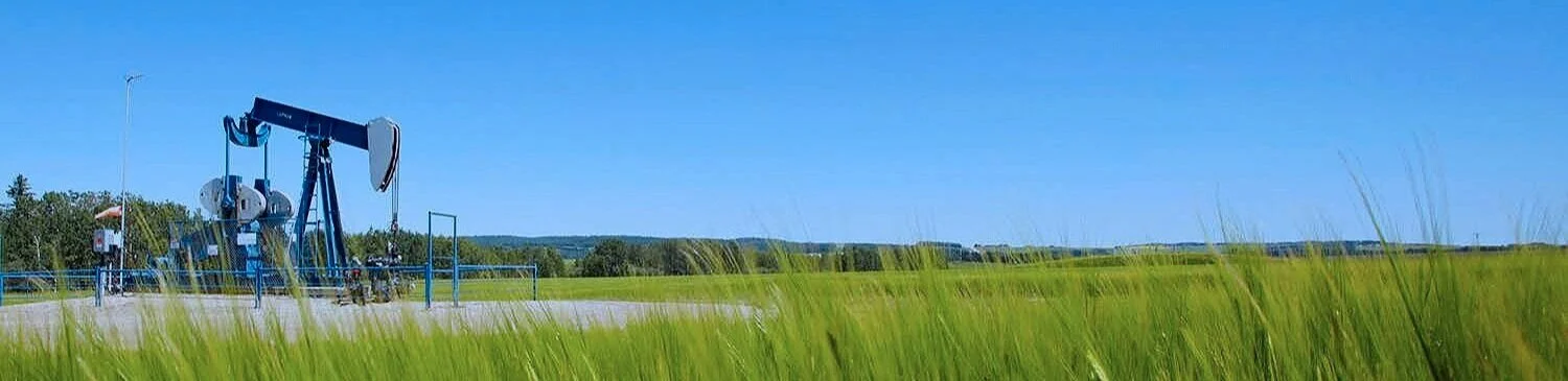 Picture6.jpg