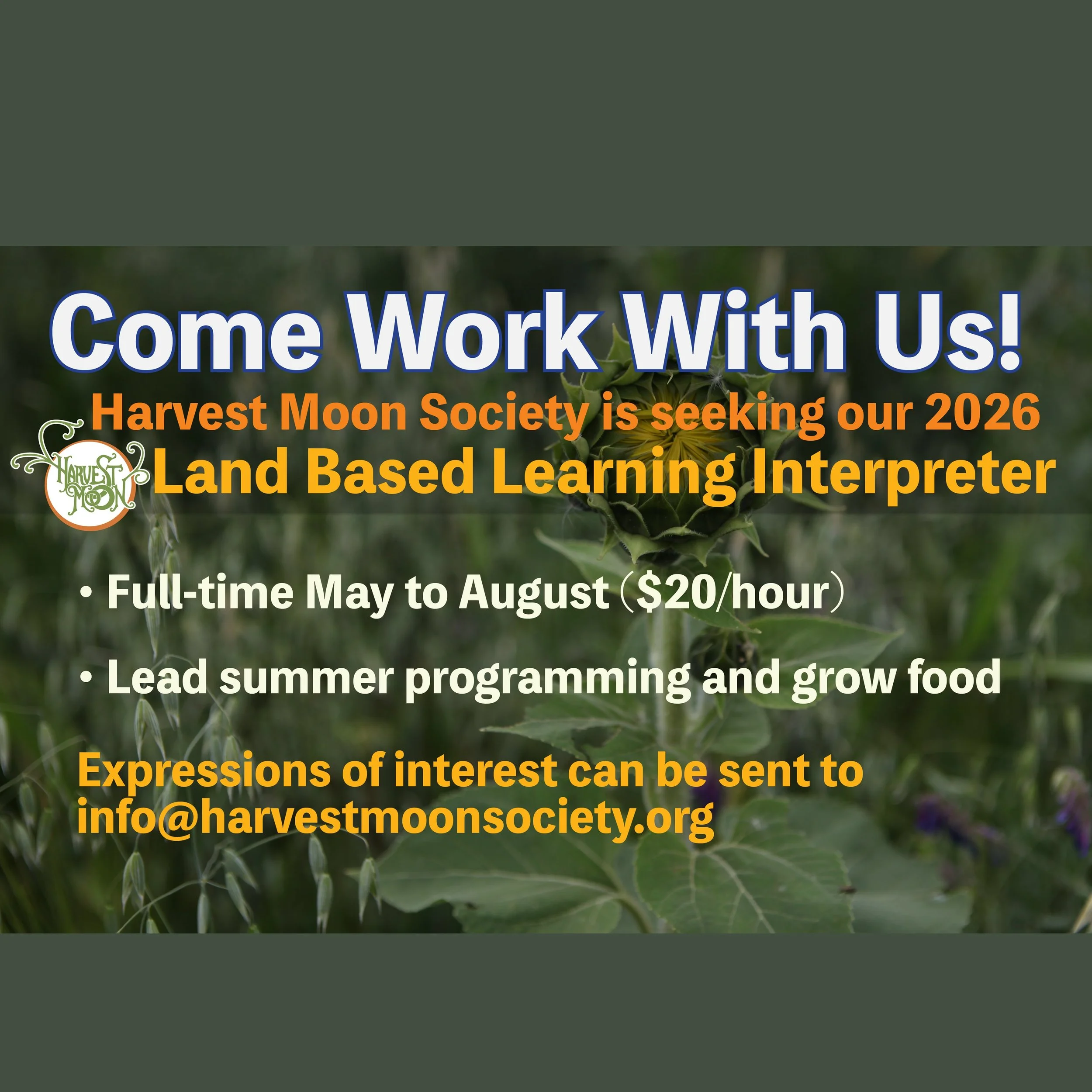 Land Based Learning Interpreter