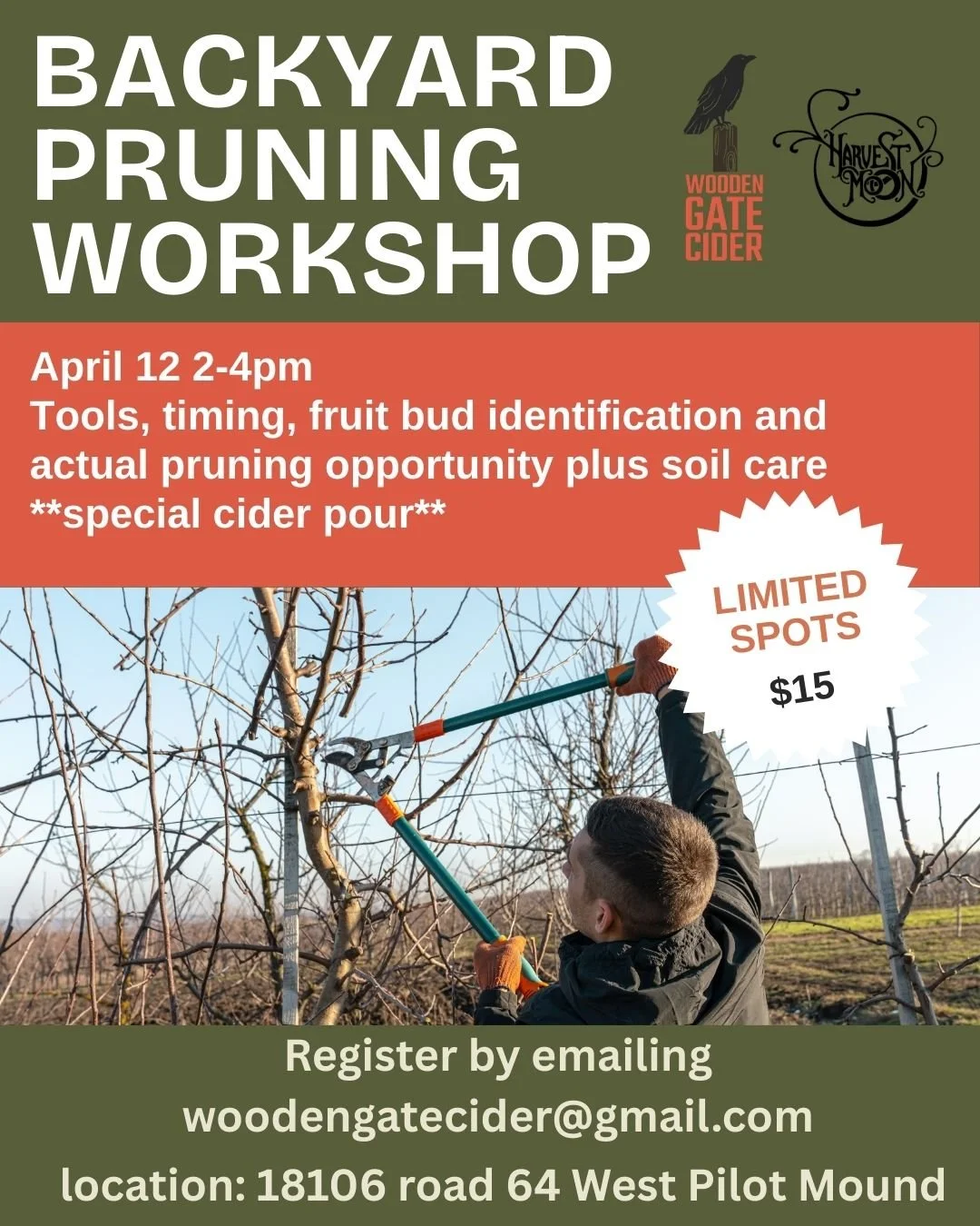 Backyard Pruning at Wooden Gate Cider