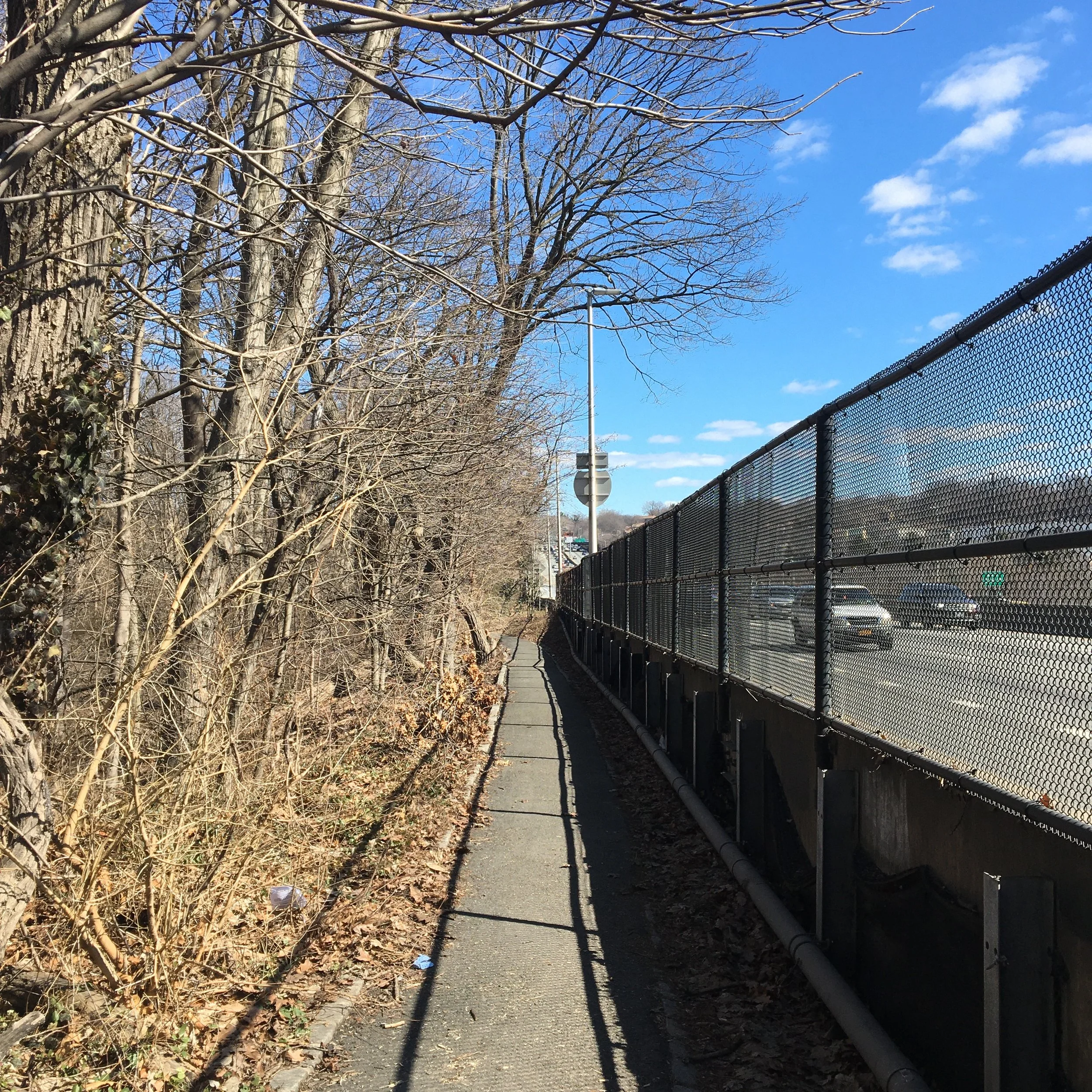   The trail to the tallest tree in NYC parallels the north side of the Long Island Expressway (LIE).  