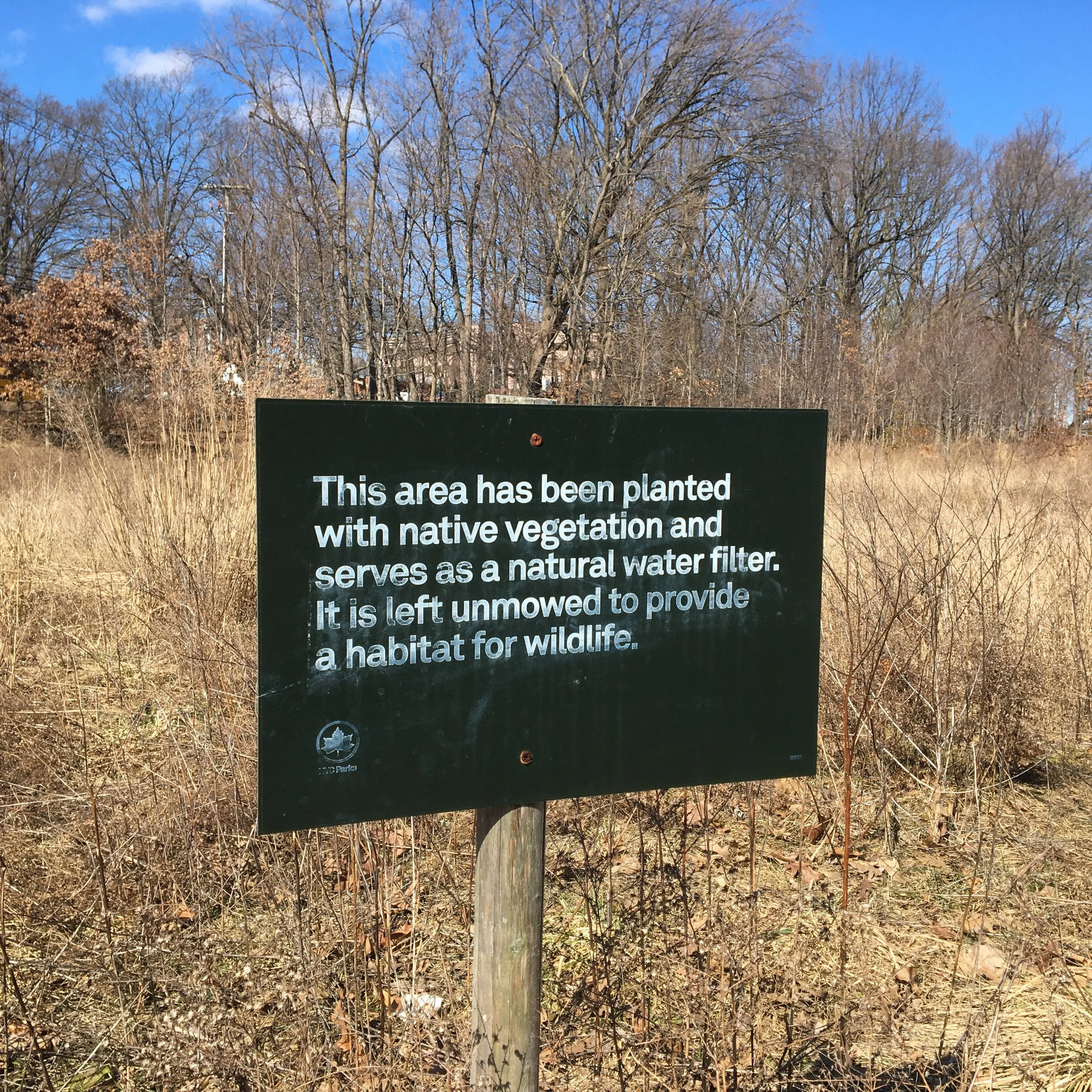   No wildflowers present this time of year&nbsp;at the Oakland Lake Wildflower Meadow. &nbsp; 