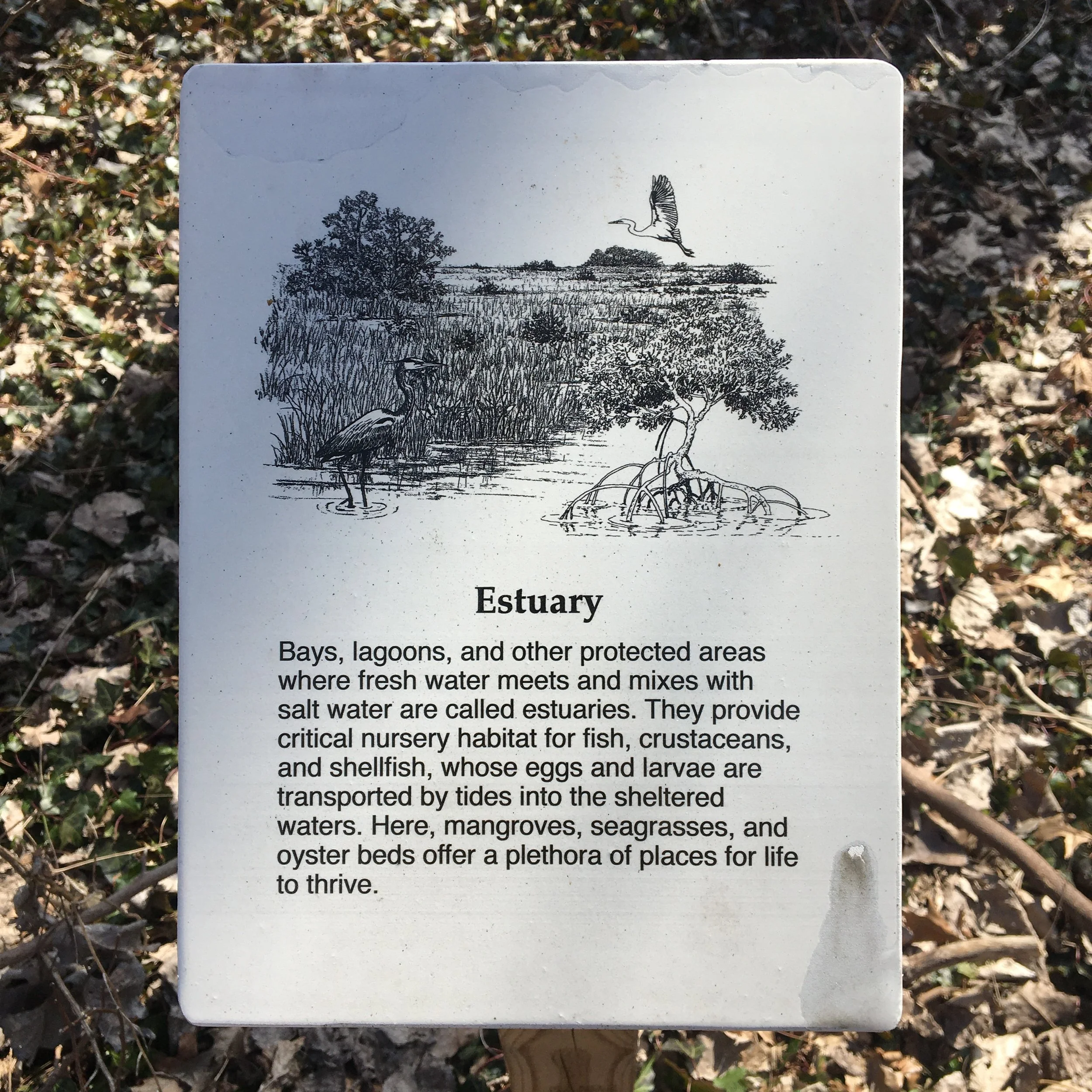   Behind APEC, the Yellow Trail is marked&nbsp;with informational signs. &nbsp;&nbsp; 