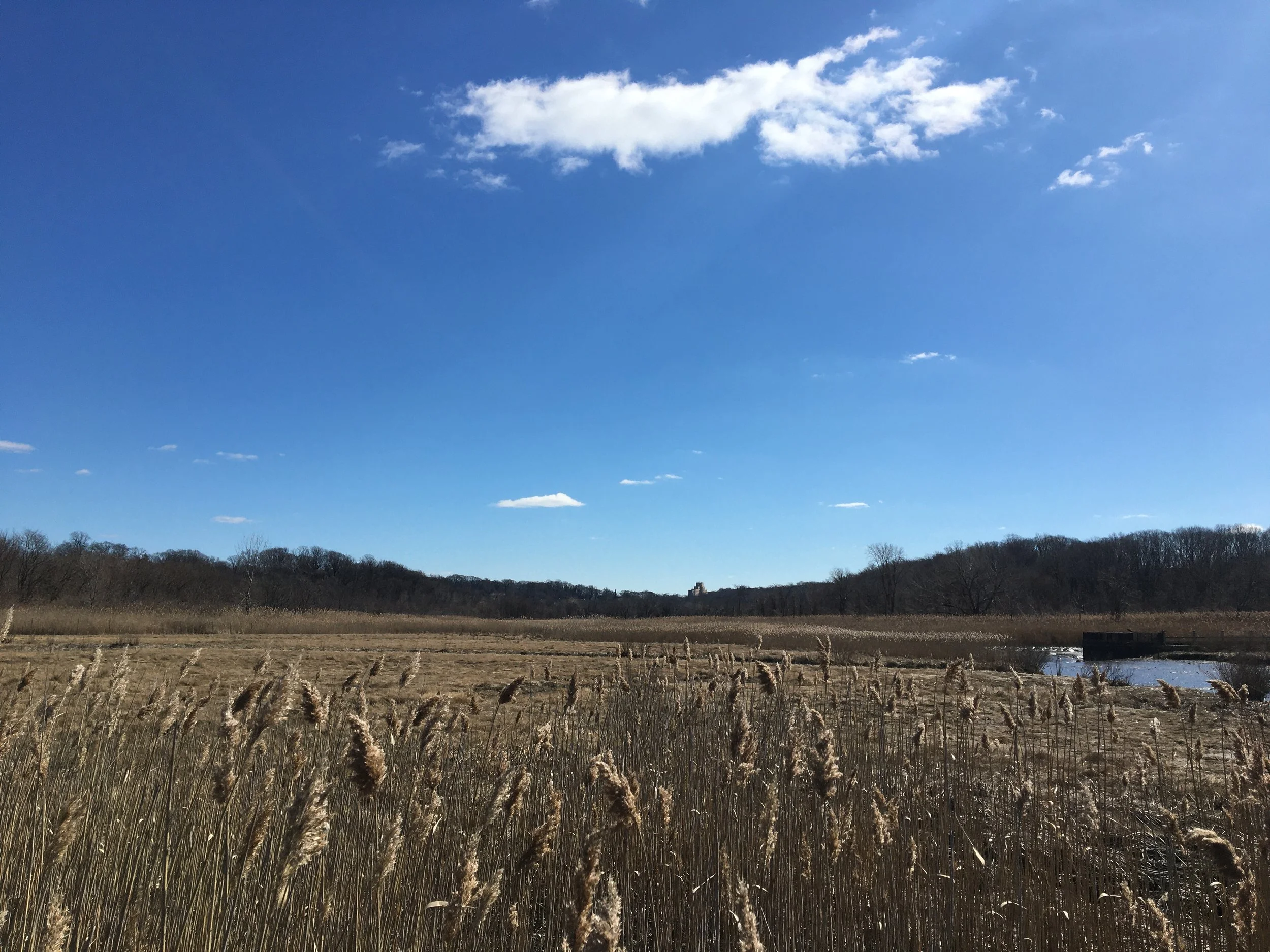  Alley Creek and wetlands. The unmistakable shape of Creedmor Psychiatric Hospital, near the southern section of the park, is visible in the distance.  