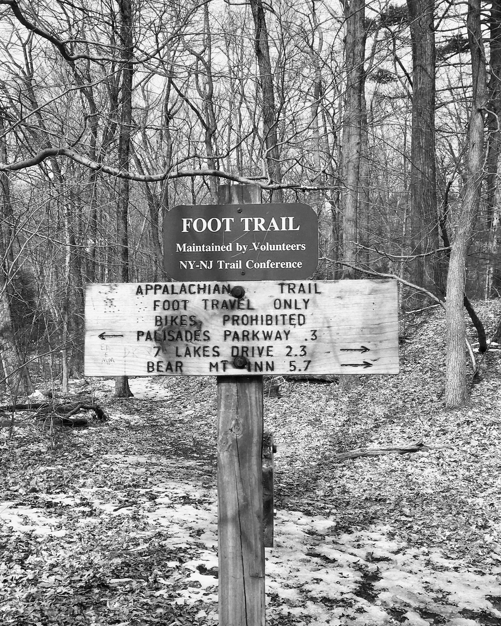 First Hike of the Year